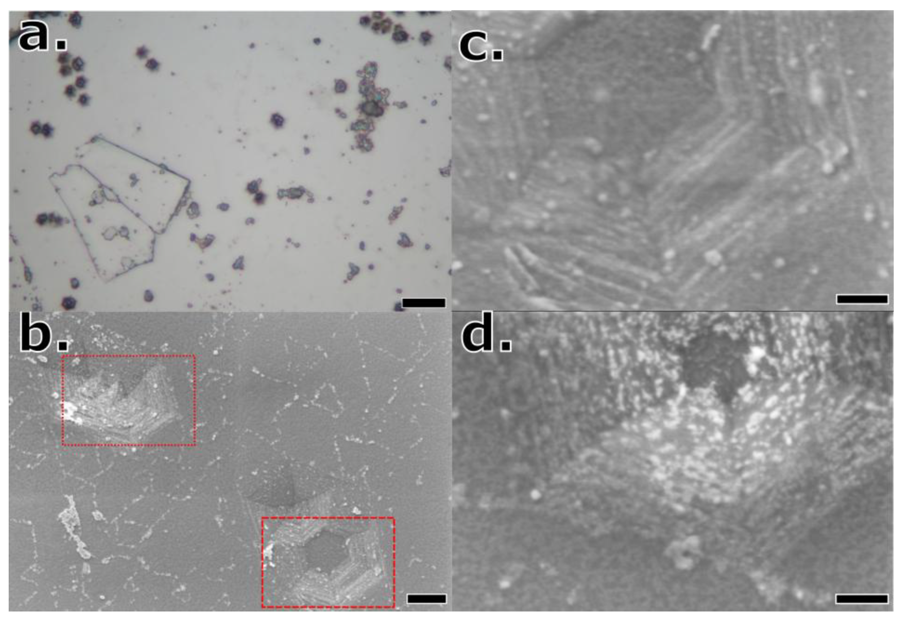 Preprints 199870 g008