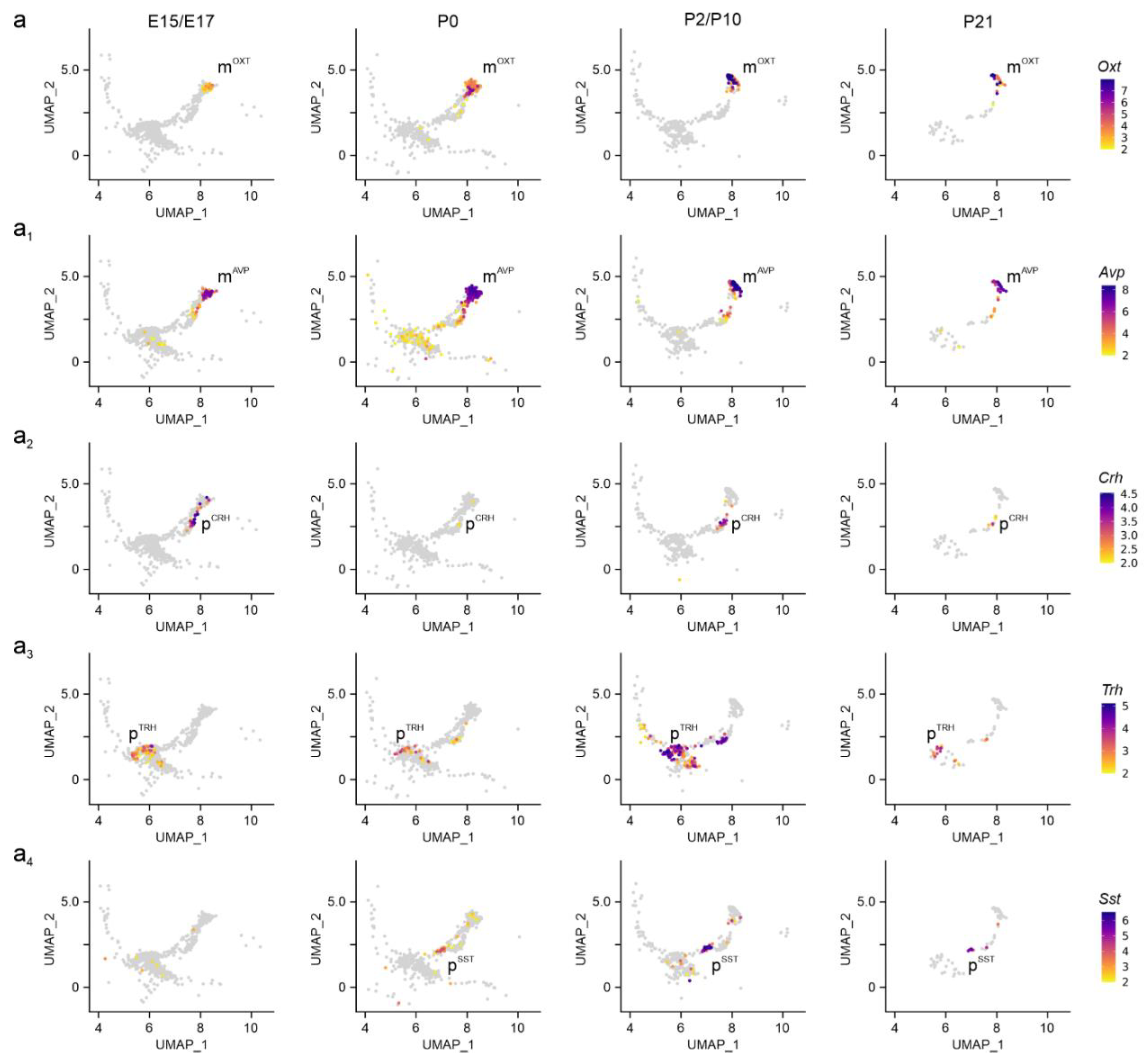 Preprints 157867 g002