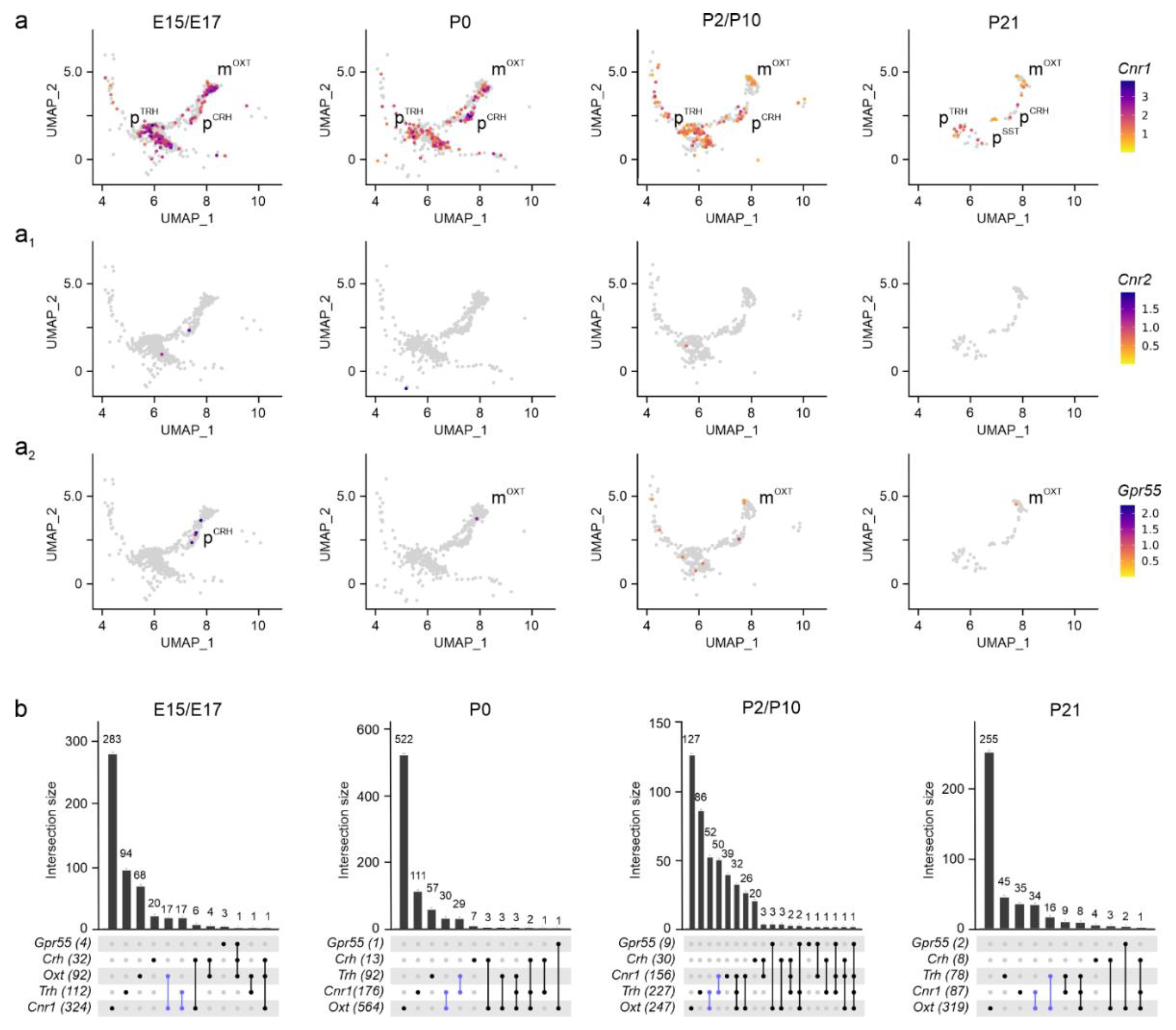 Preprints 157867 g003