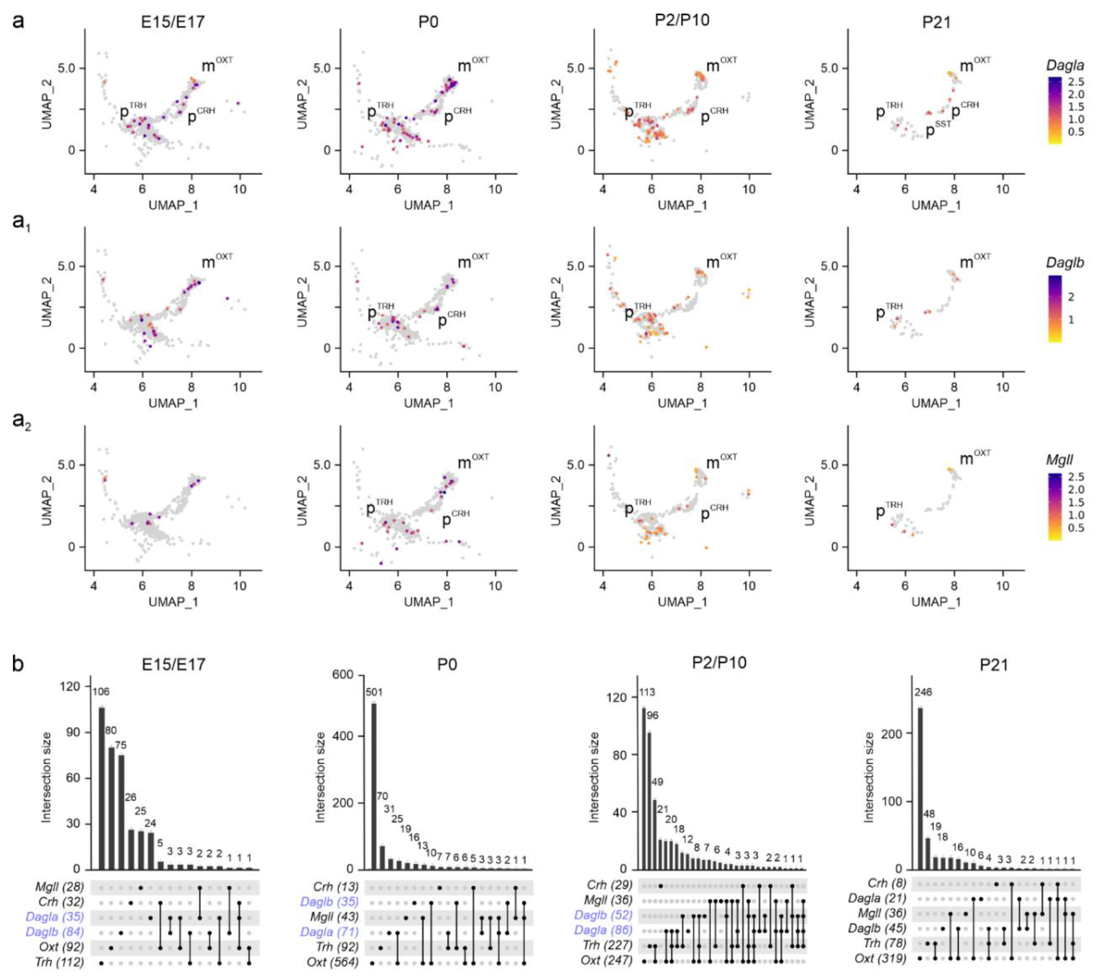 Preprints 157867 g004