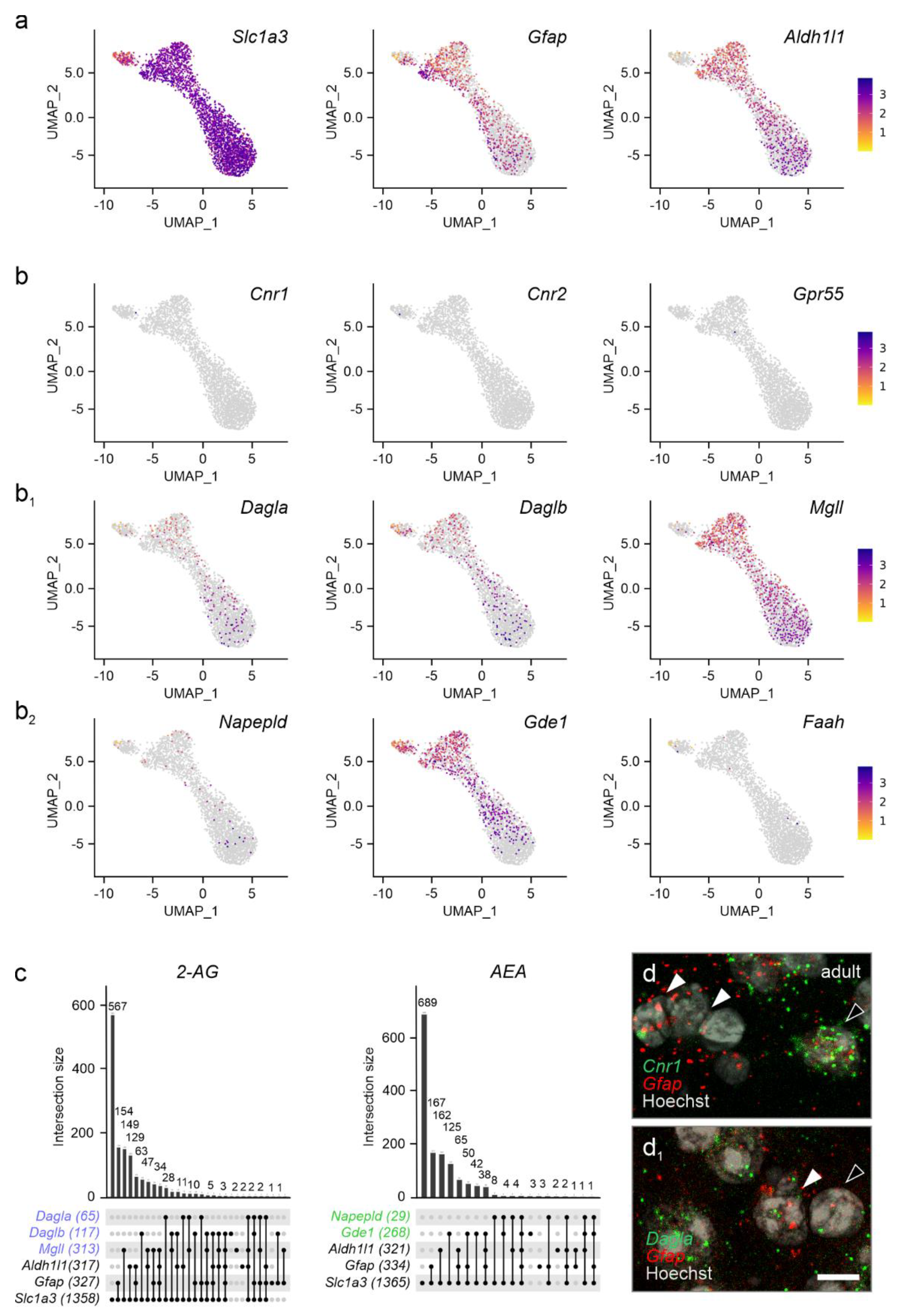 Preprints 157867 g007