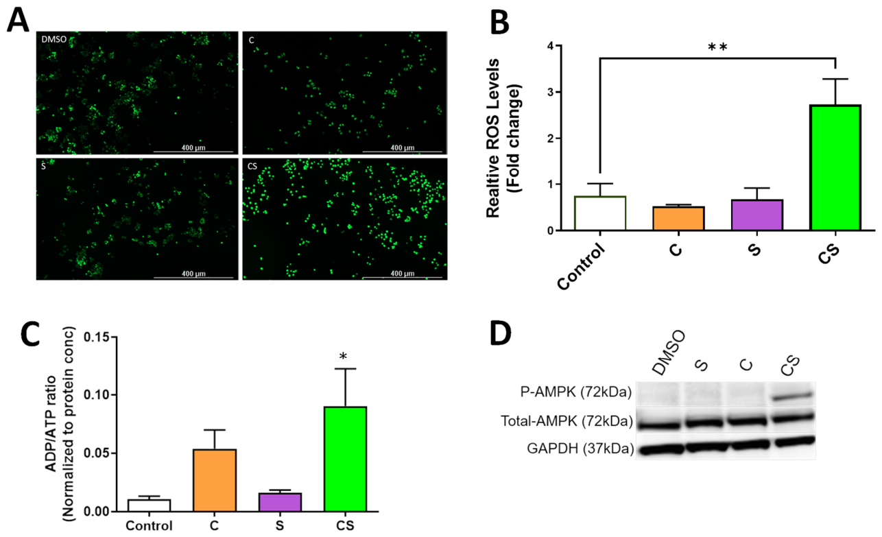 Preprints 228505 g004 Preprints 228505 g004