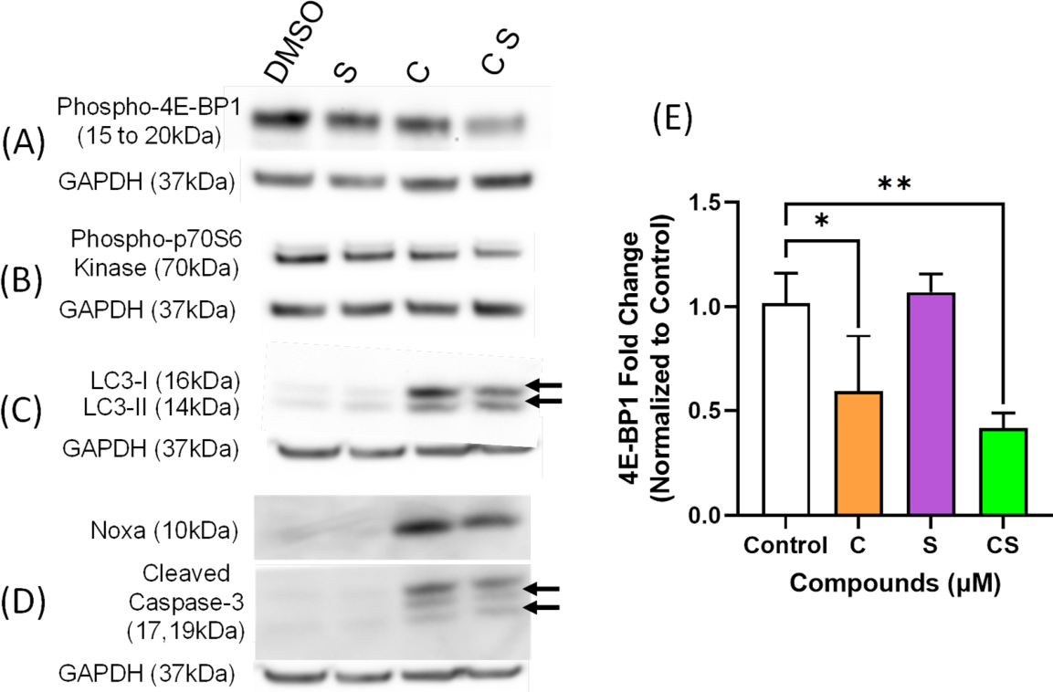 Preprints 228505 g005 Preprints 228505 g005