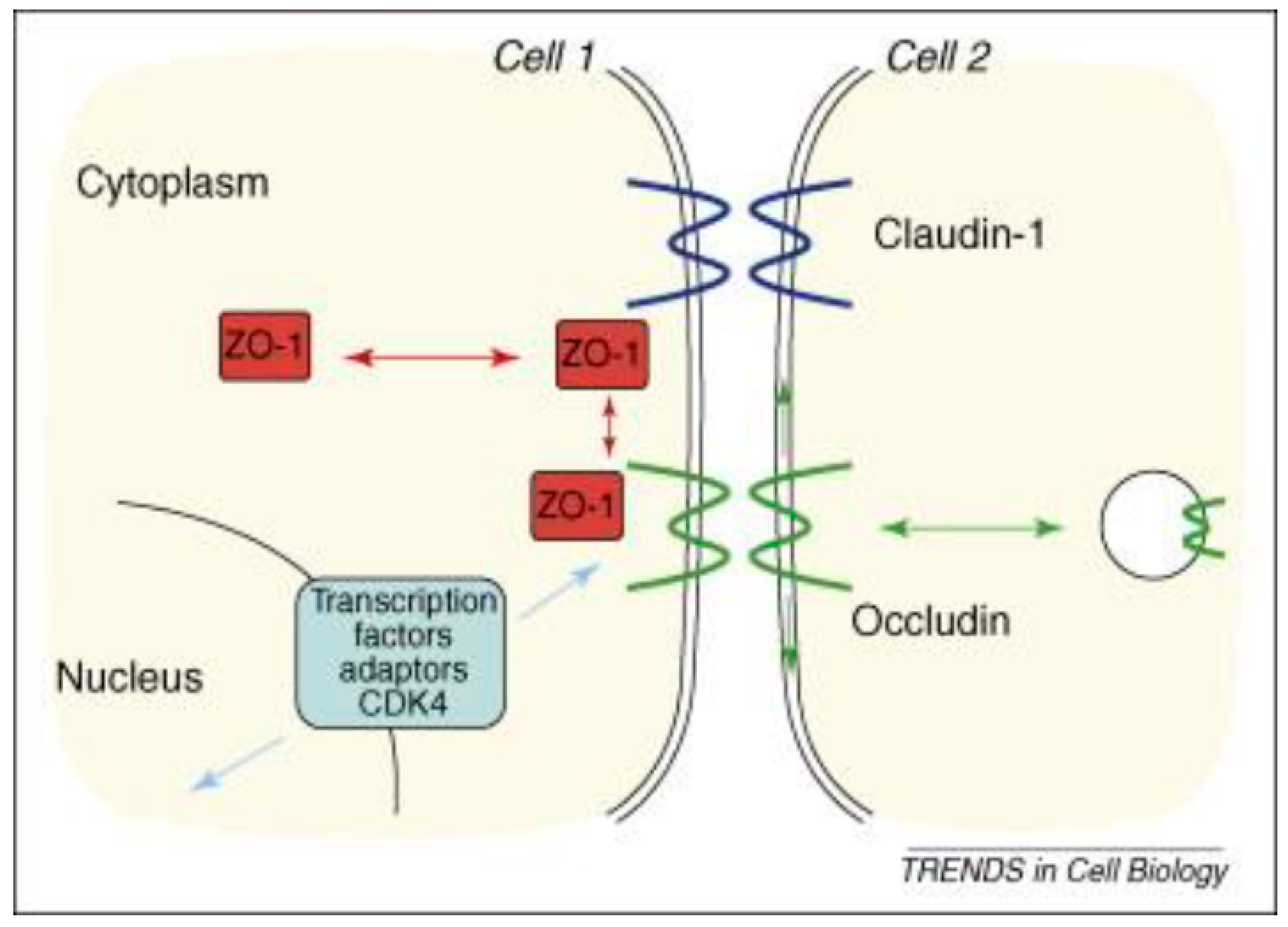 Preprints 76707 g001