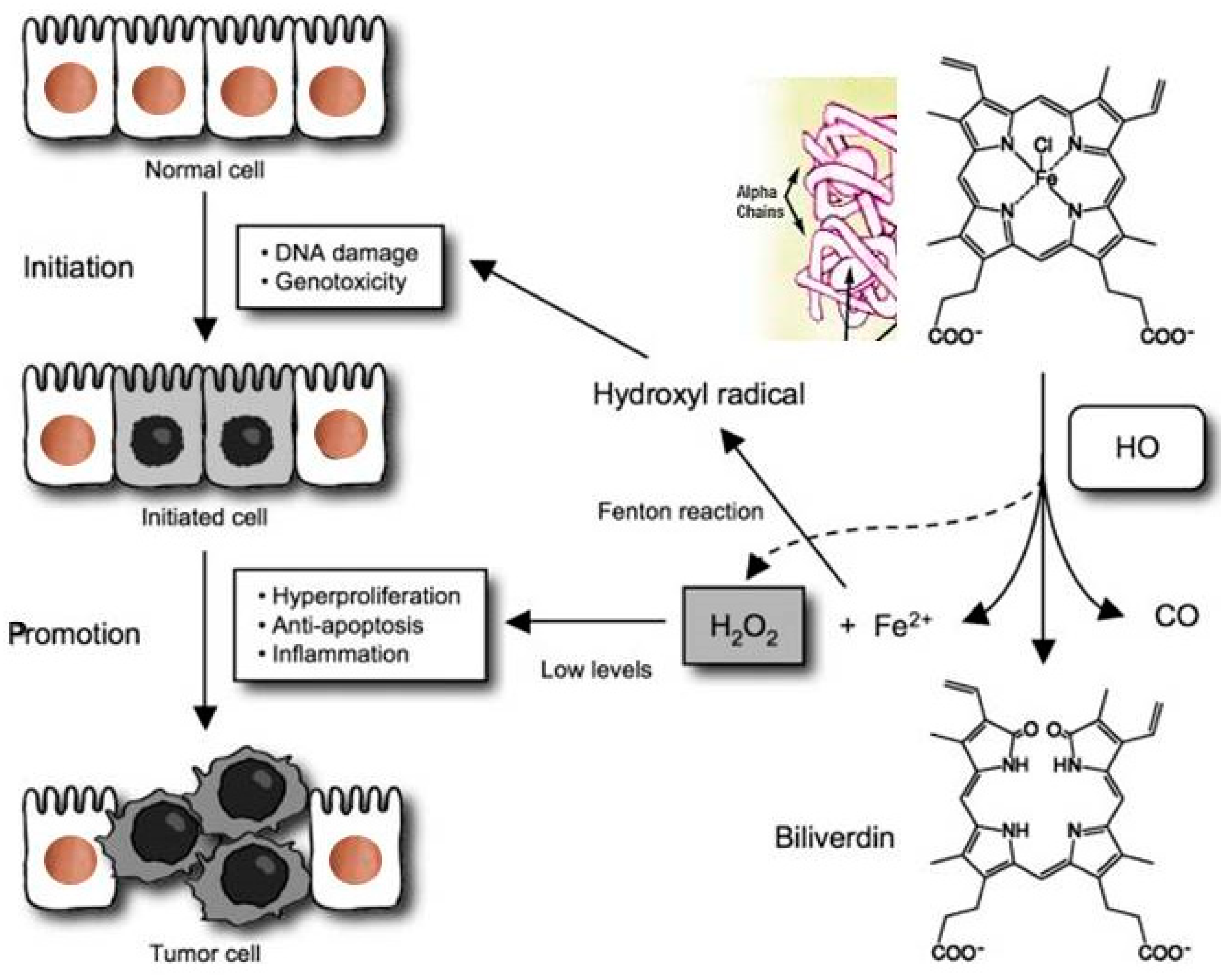 Preprints 76707 g004