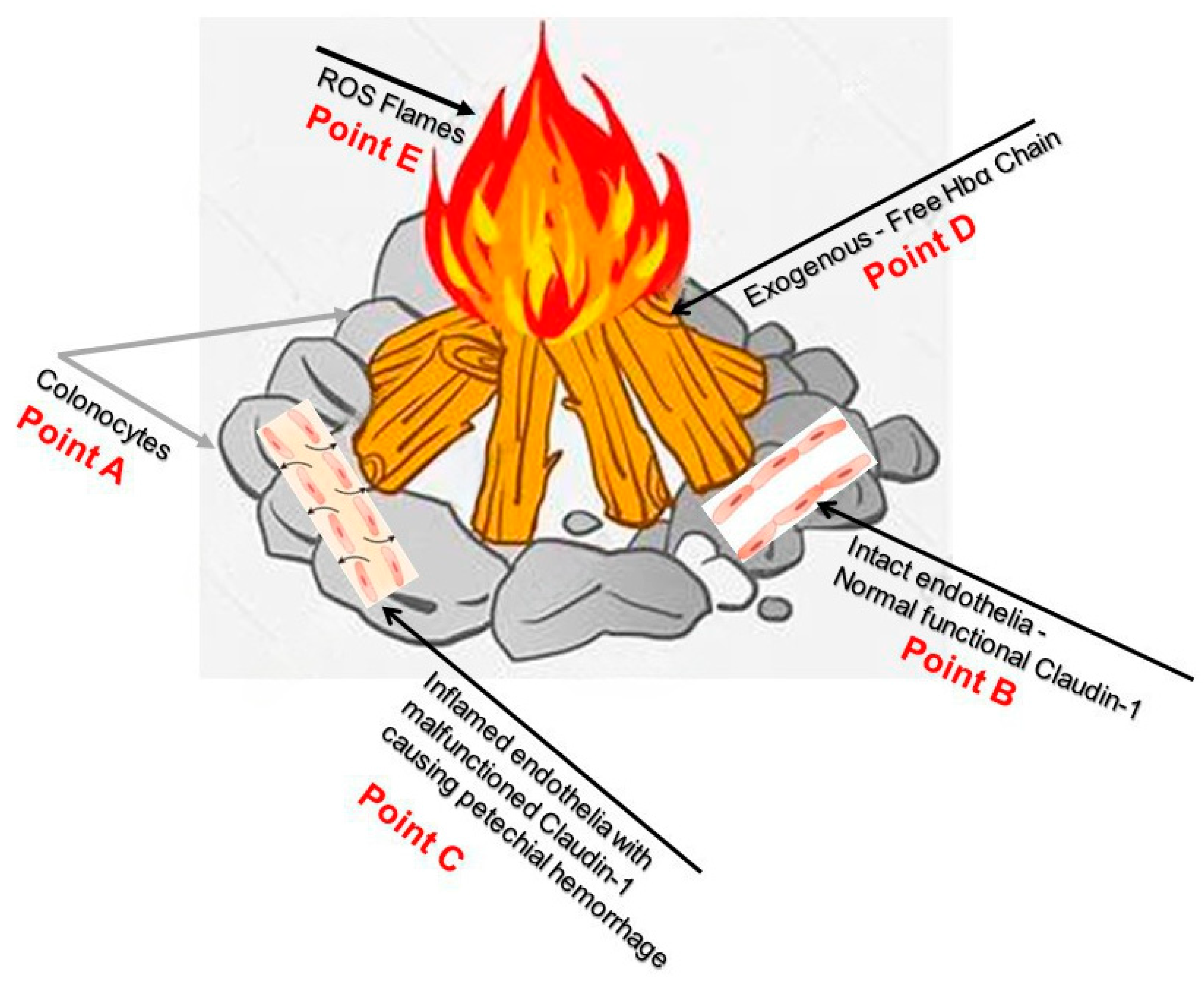 Preprints 76707 g008