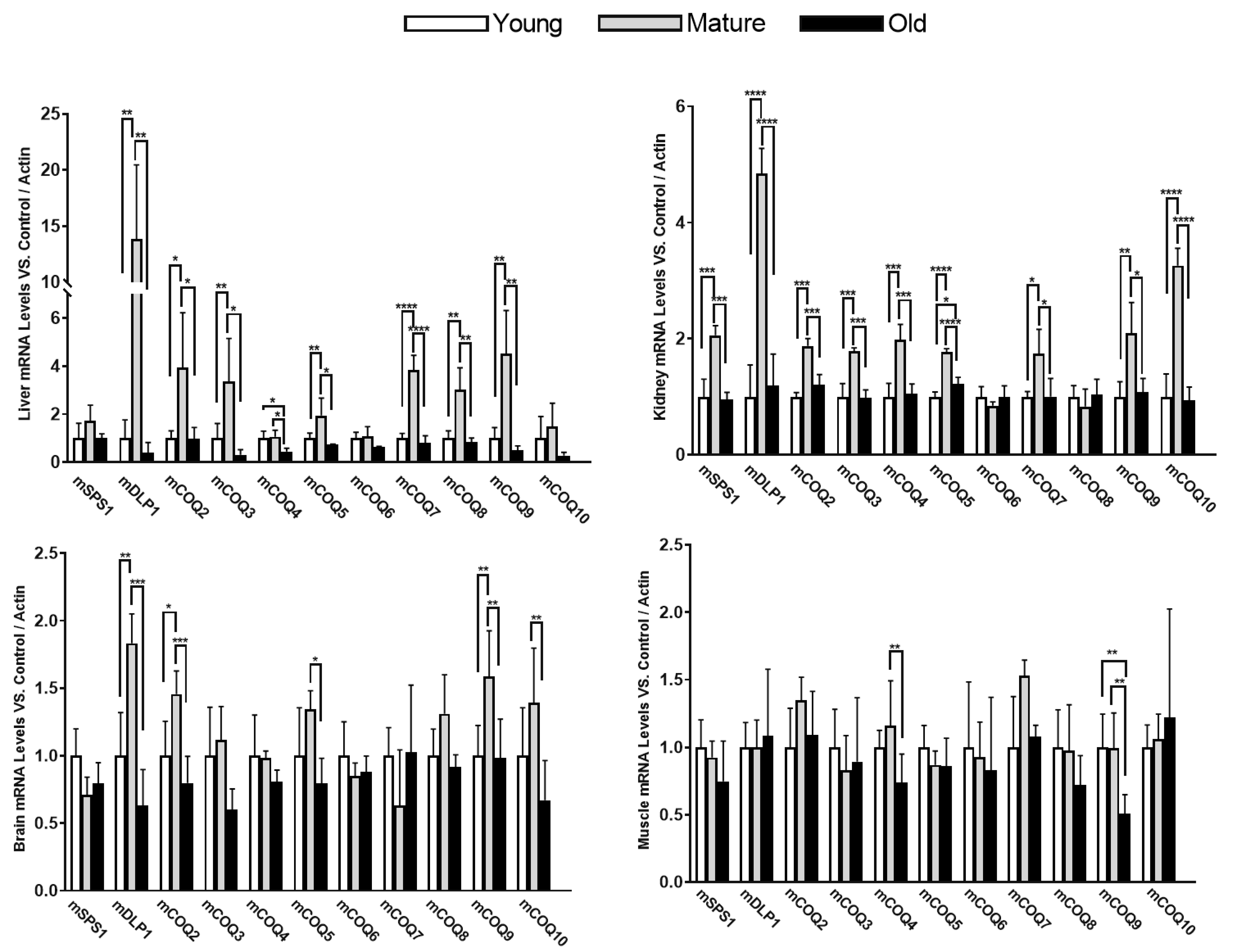 Preprints 157250 g001