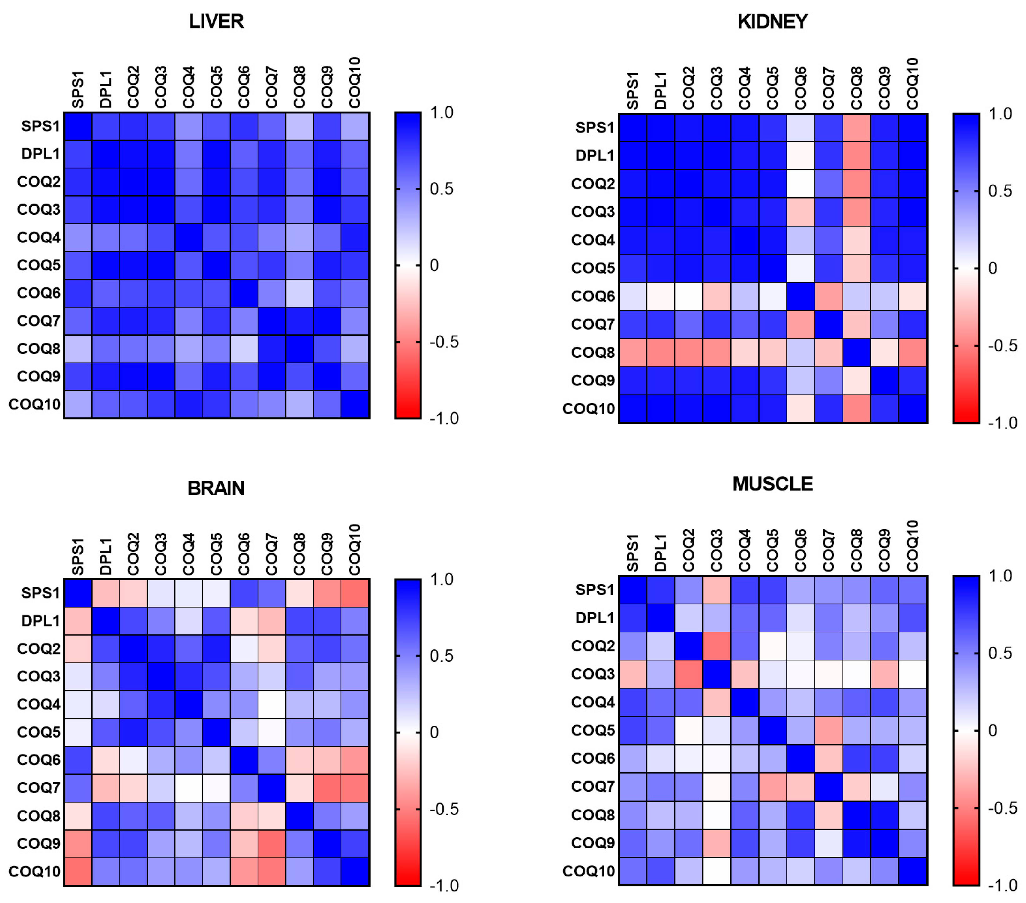 Preprints 157250 g002