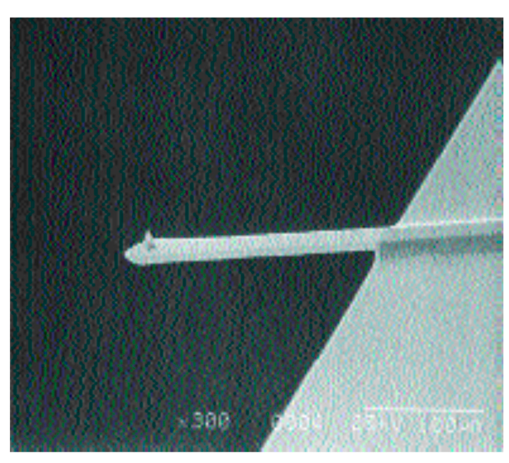 Preprints 165887 g002