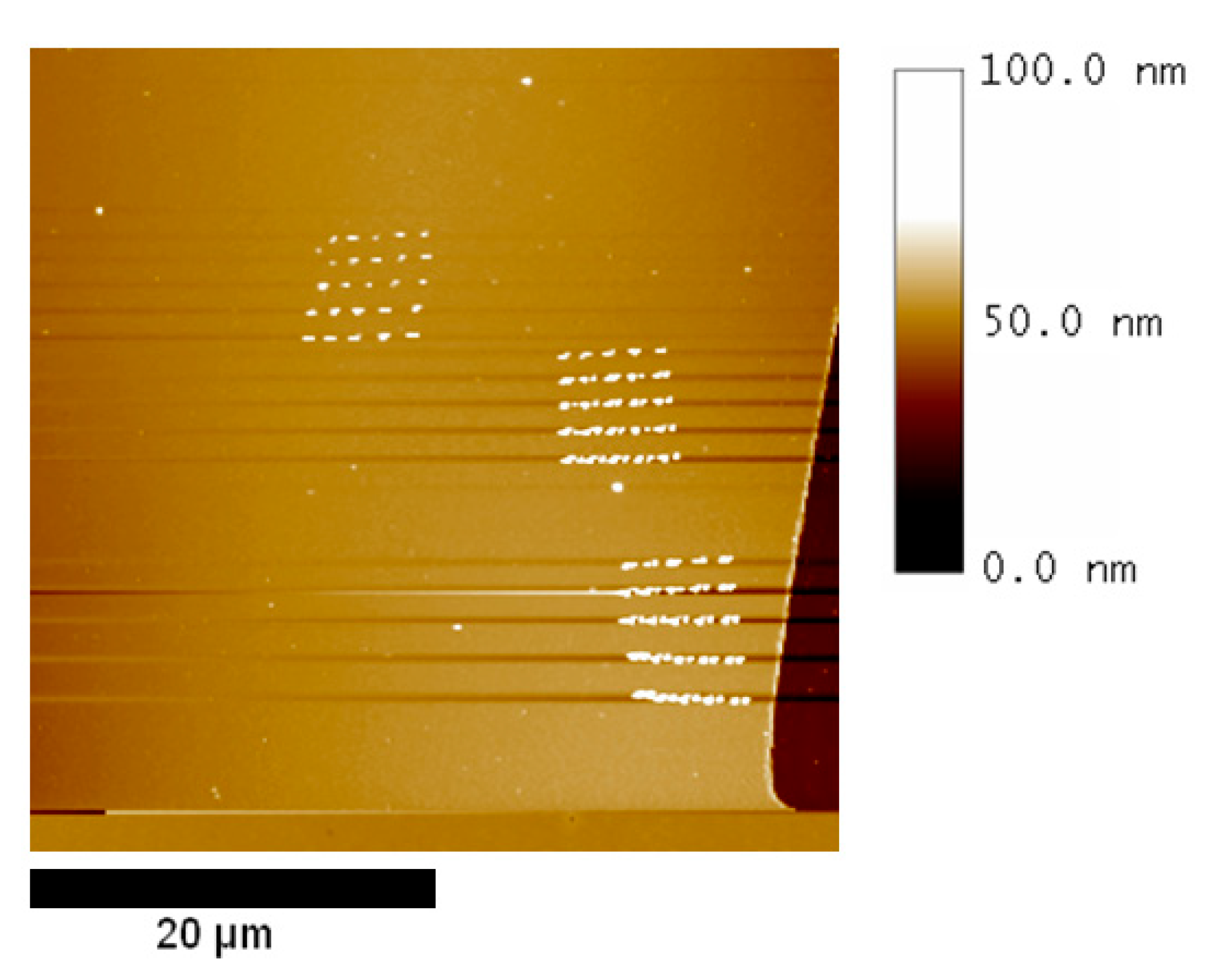 Preprints 165887 g005