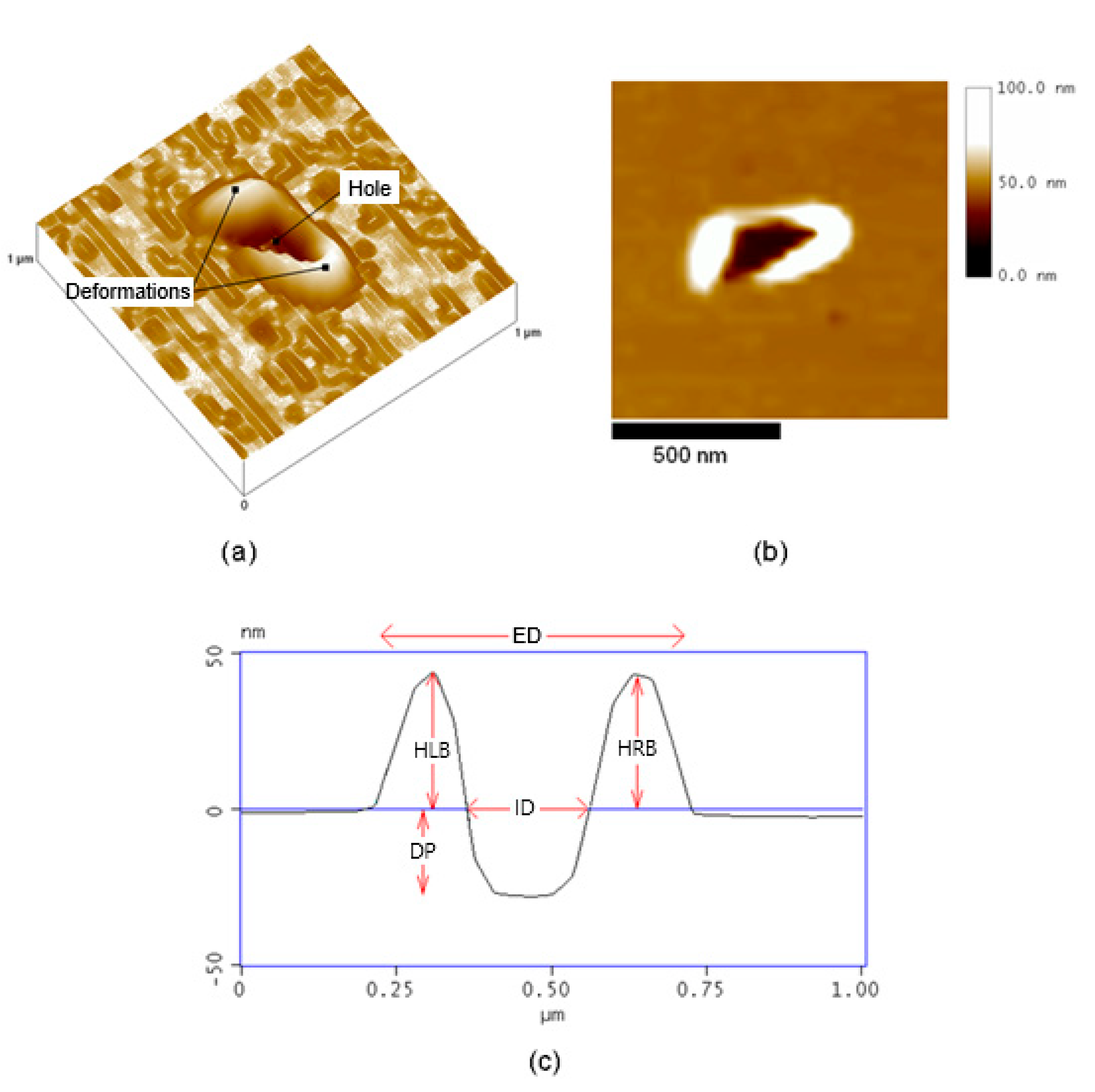 Preprints 165887 g006