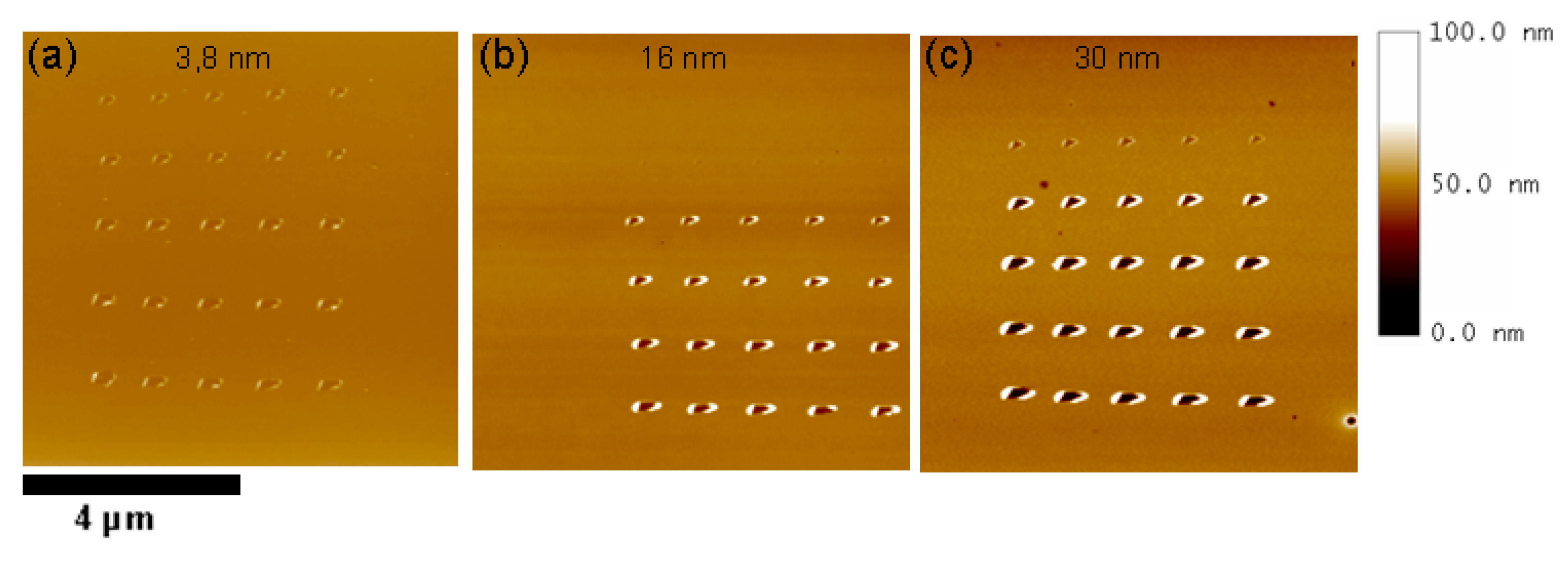 Preprints 165887 g011