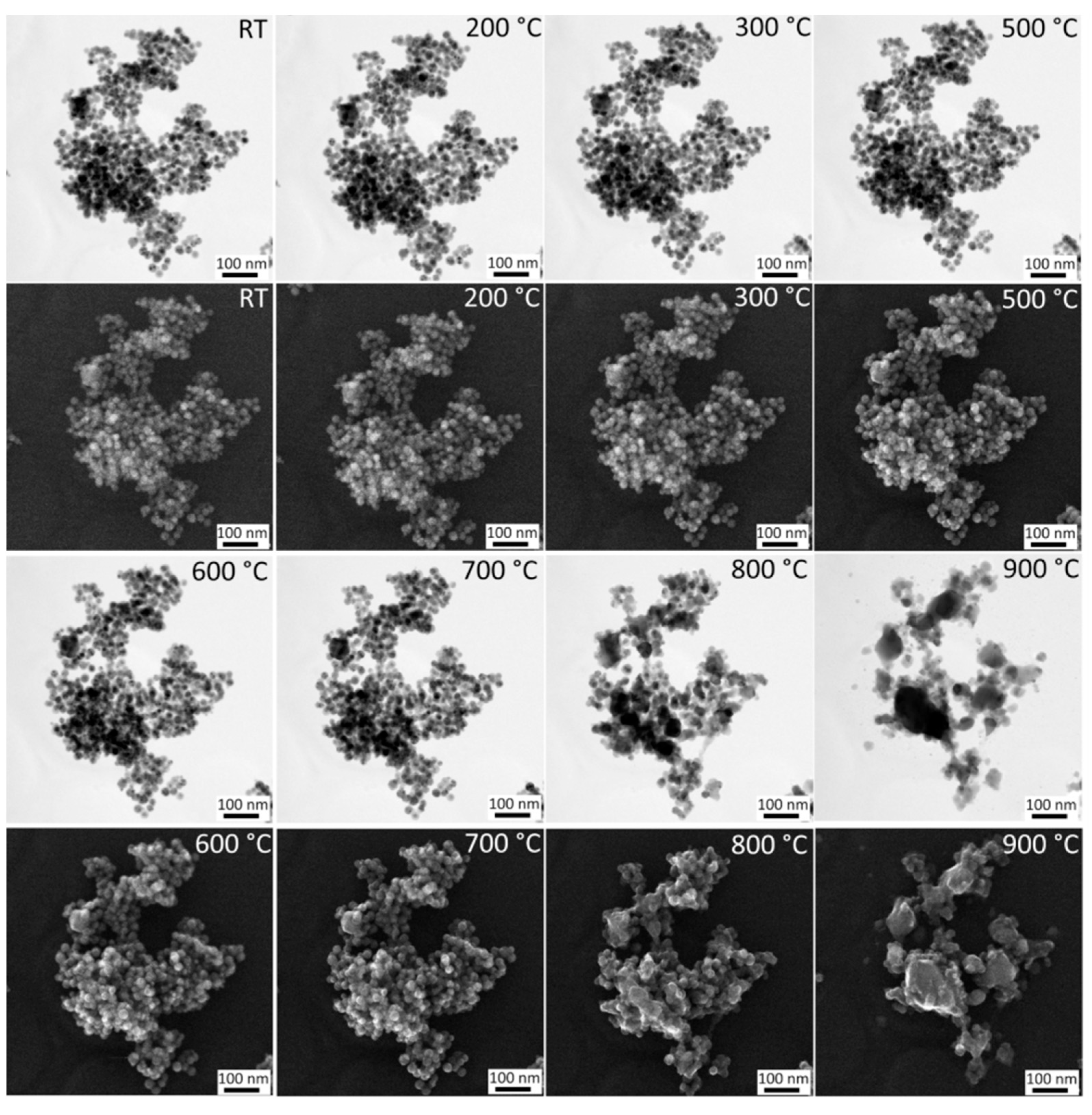 Preprints 195388 g005