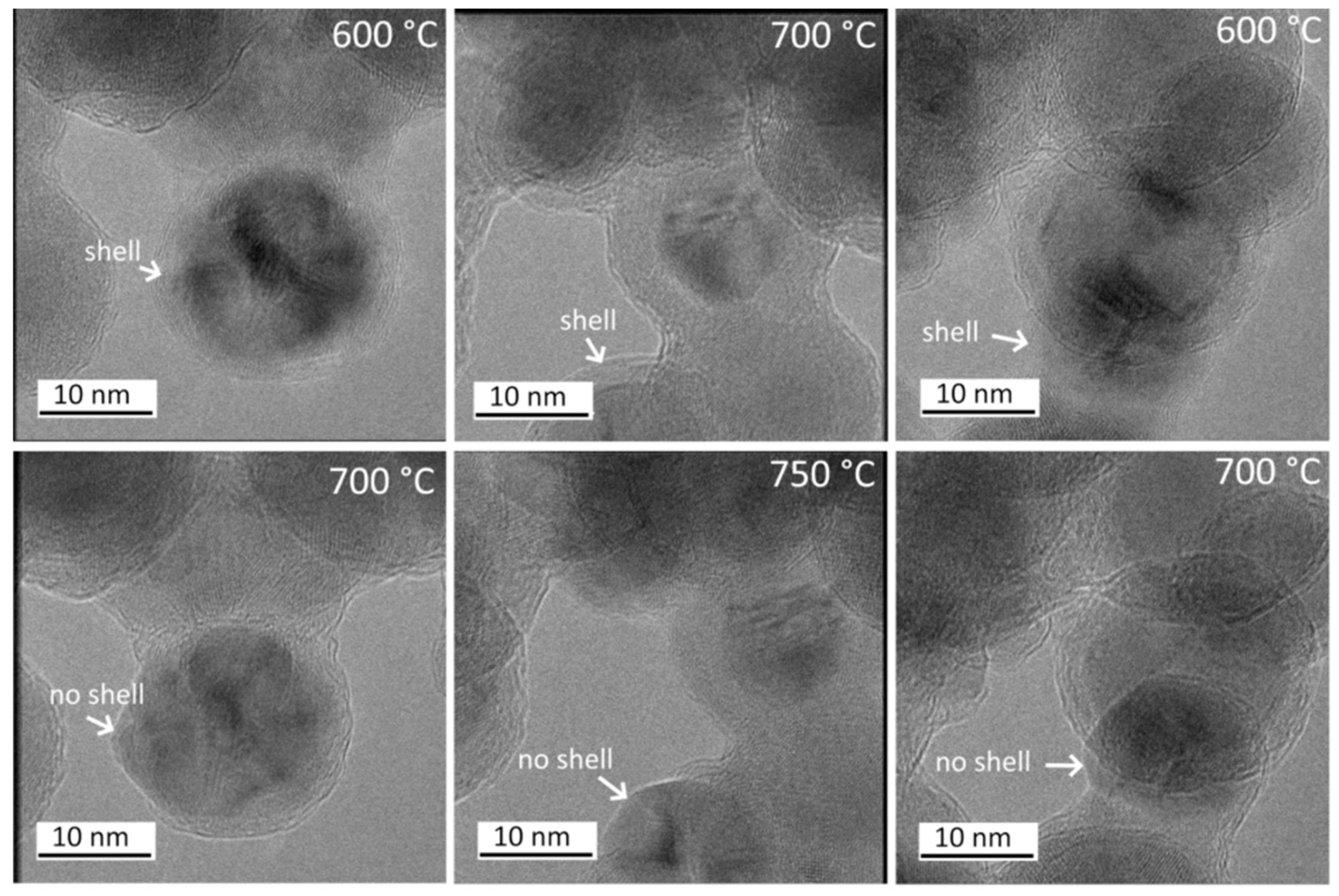 Preprints 195388 g008