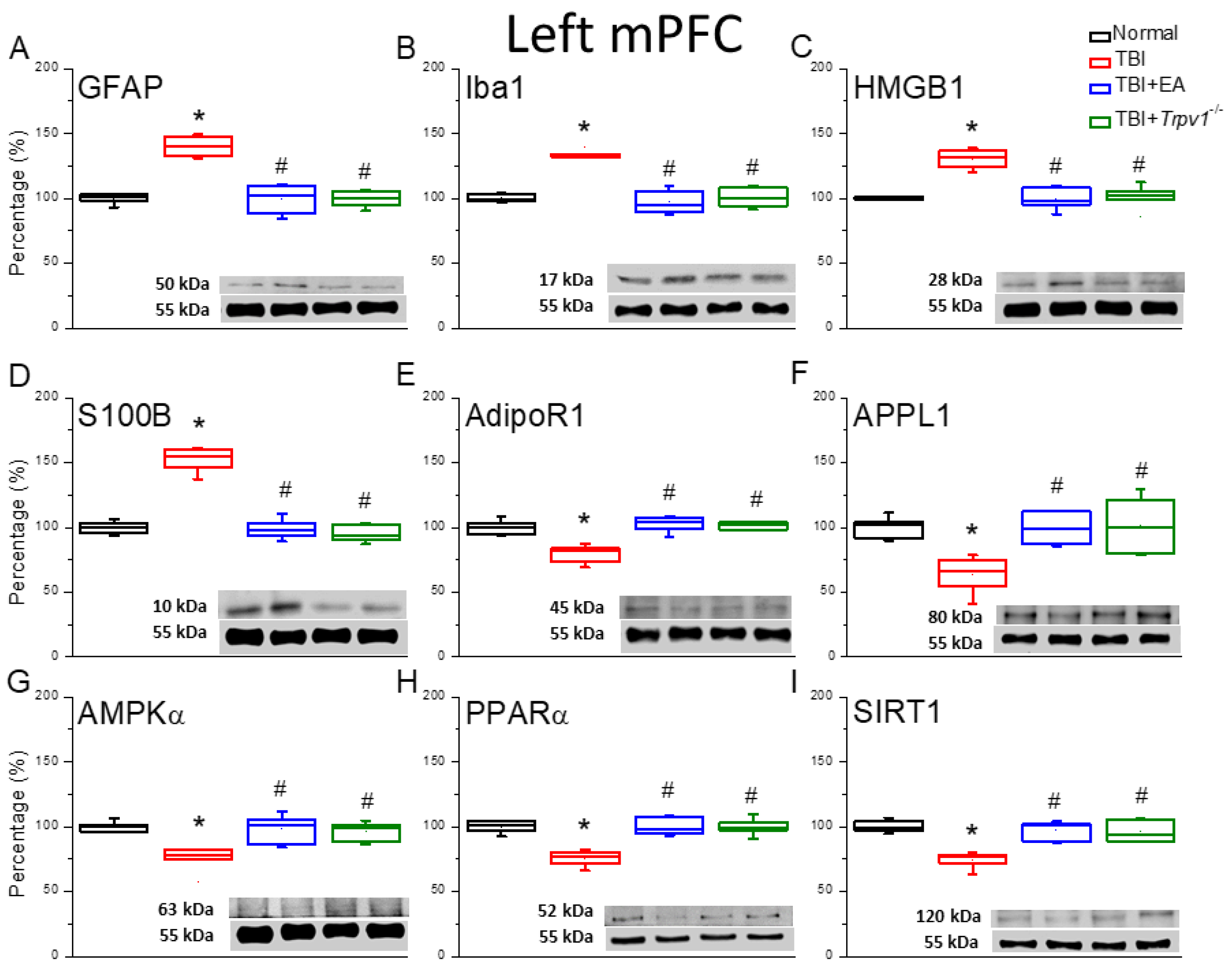 Preprints 196240 g002