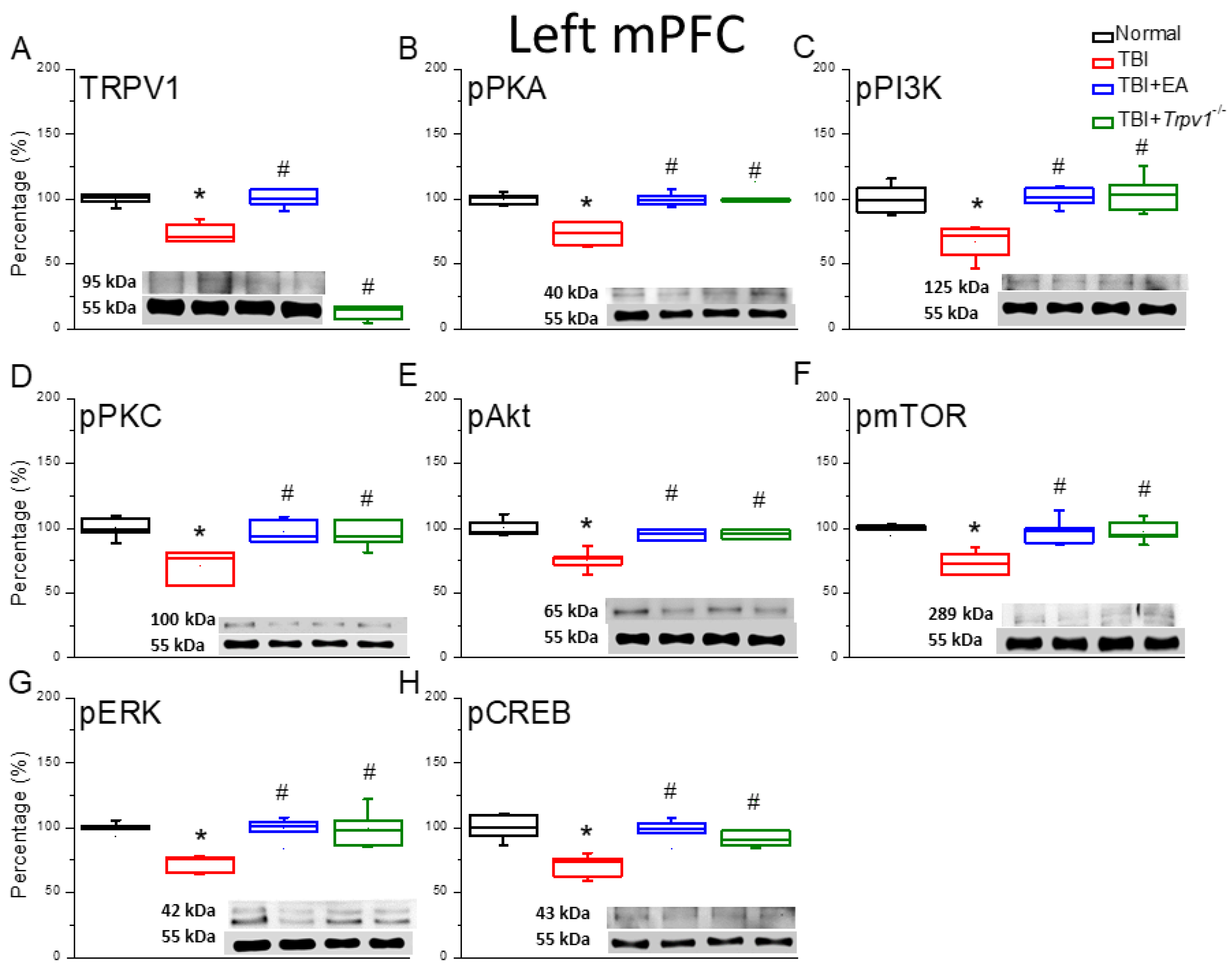 Preprints 196240 g003