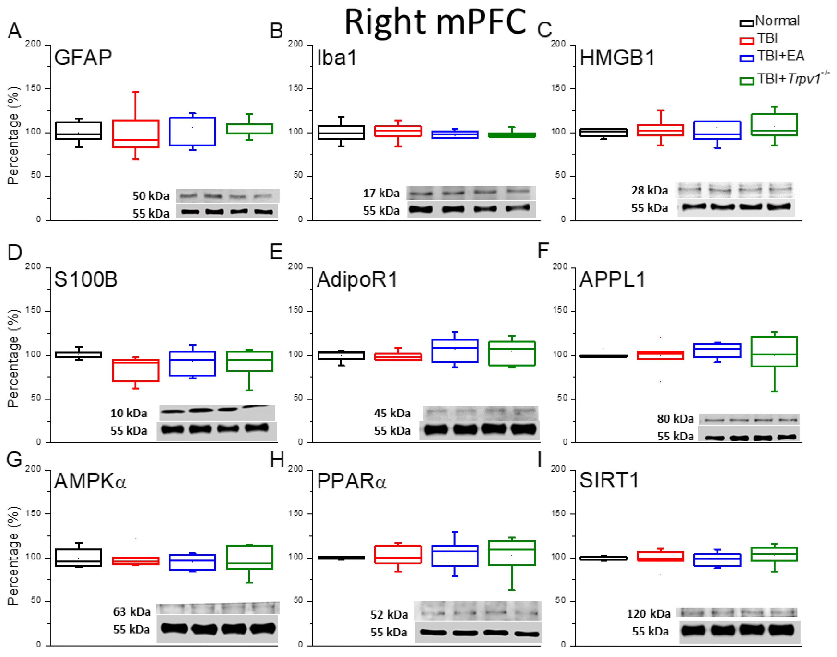 Preprints 196240 g004