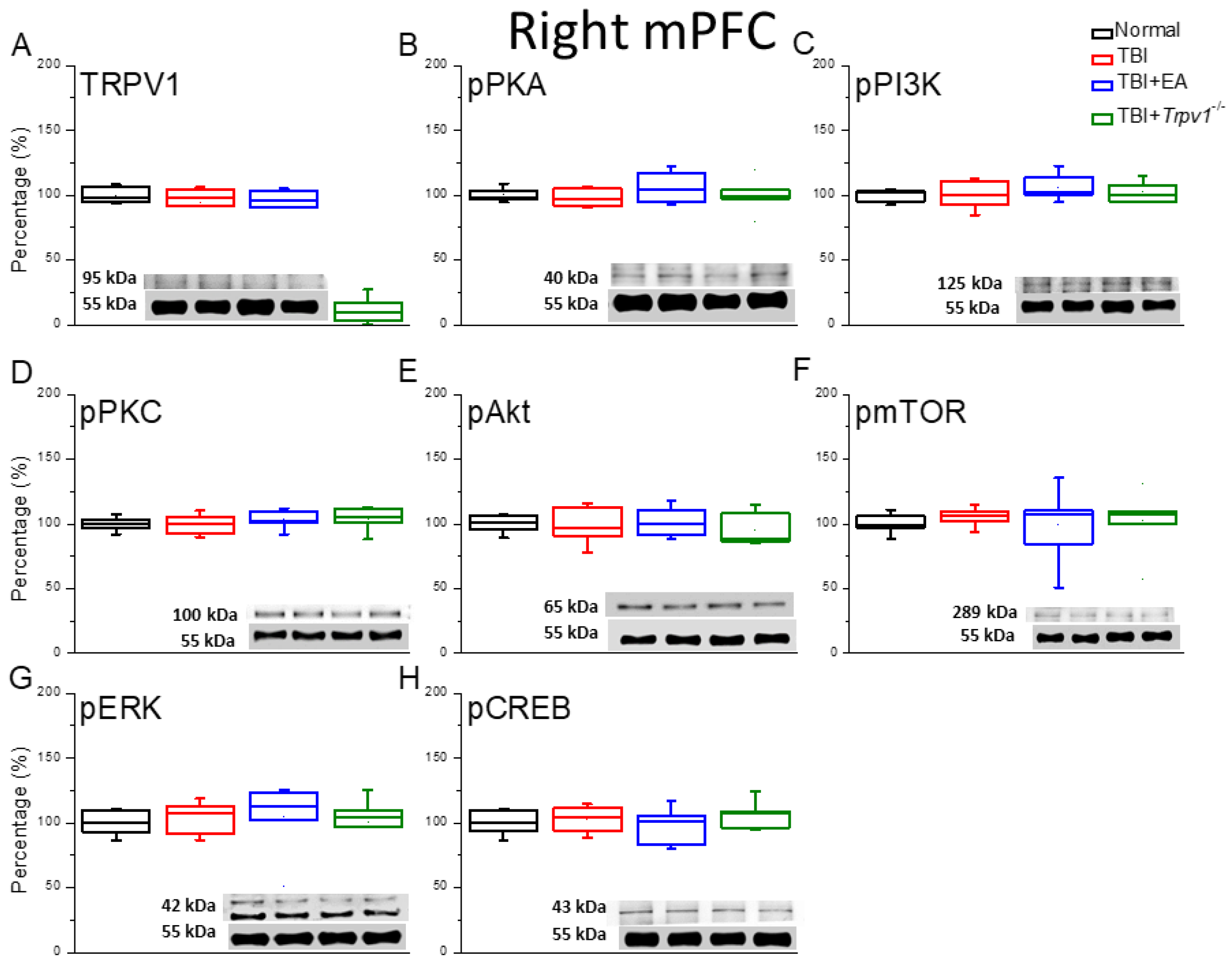 Preprints 196240 g005