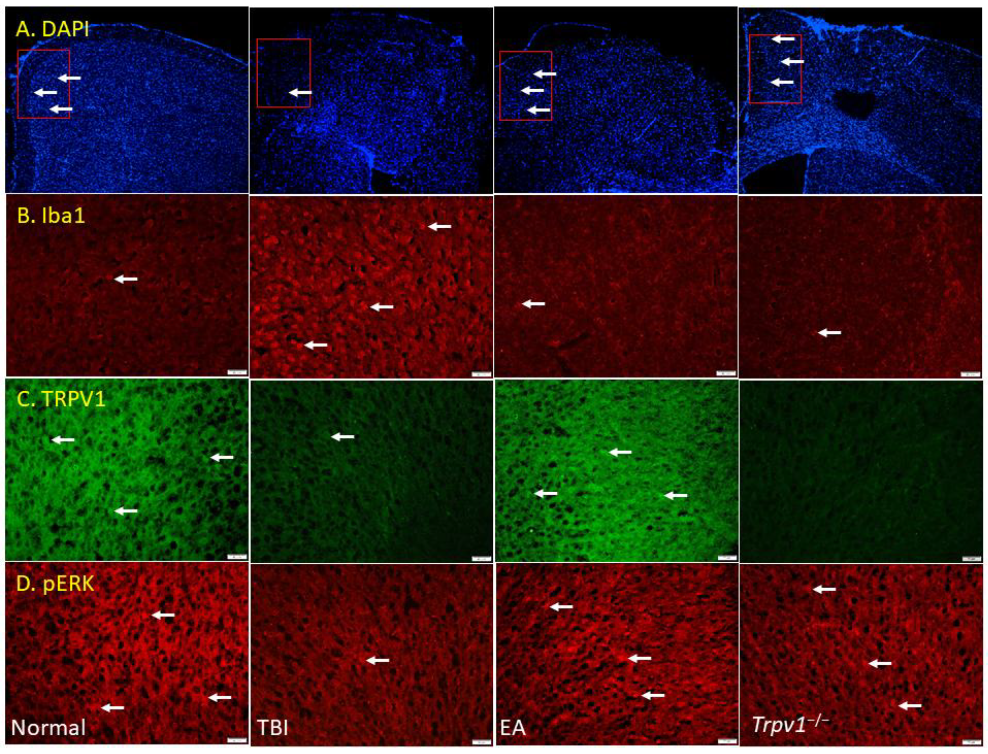 Preprints 196240 g006