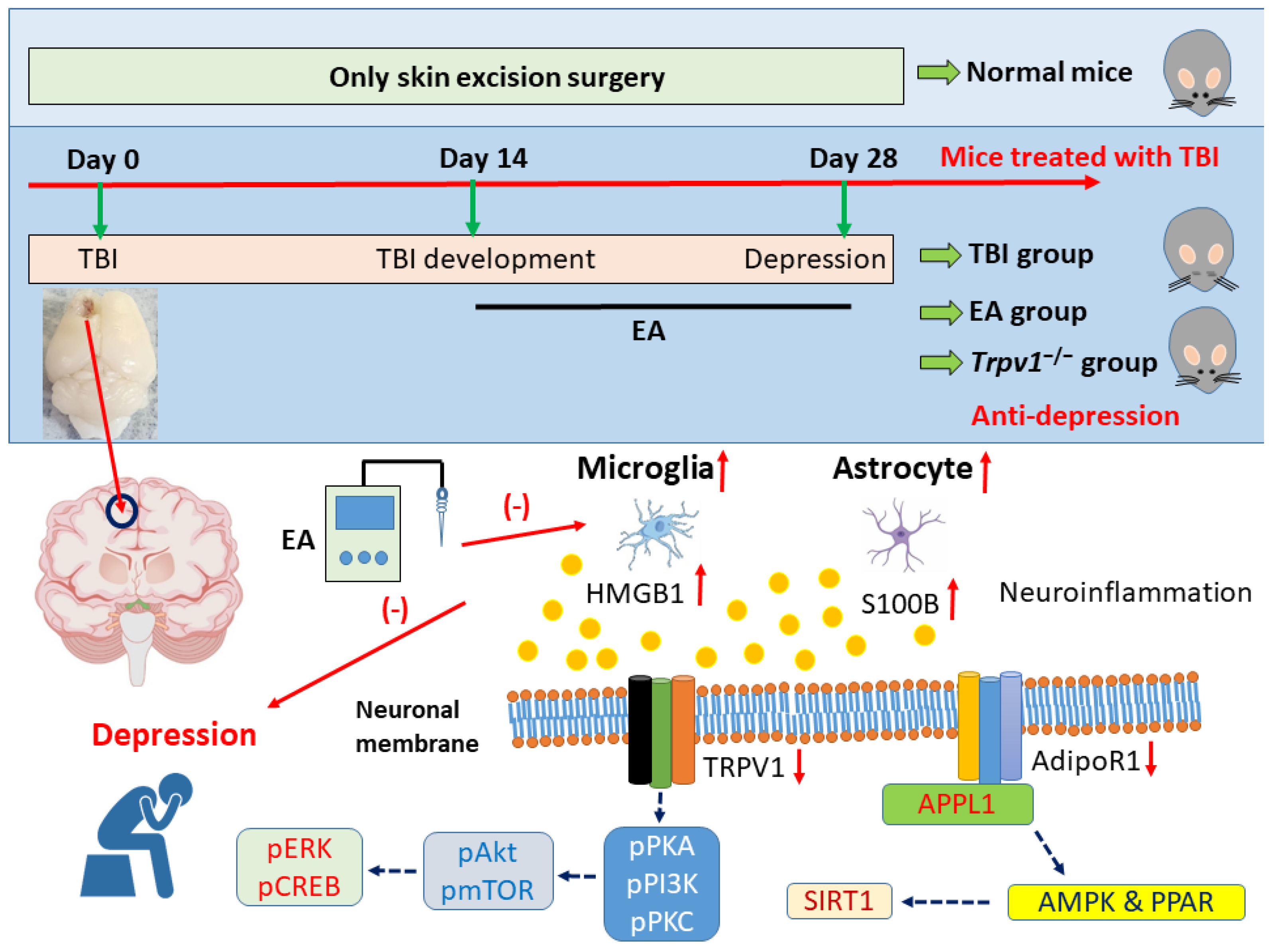 Preprints 196240 g007