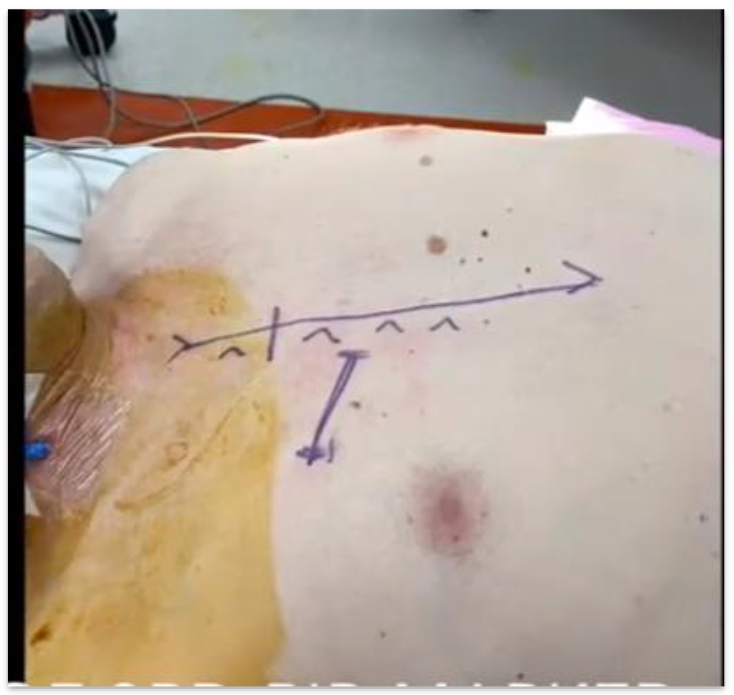 Preprints 200435 g001