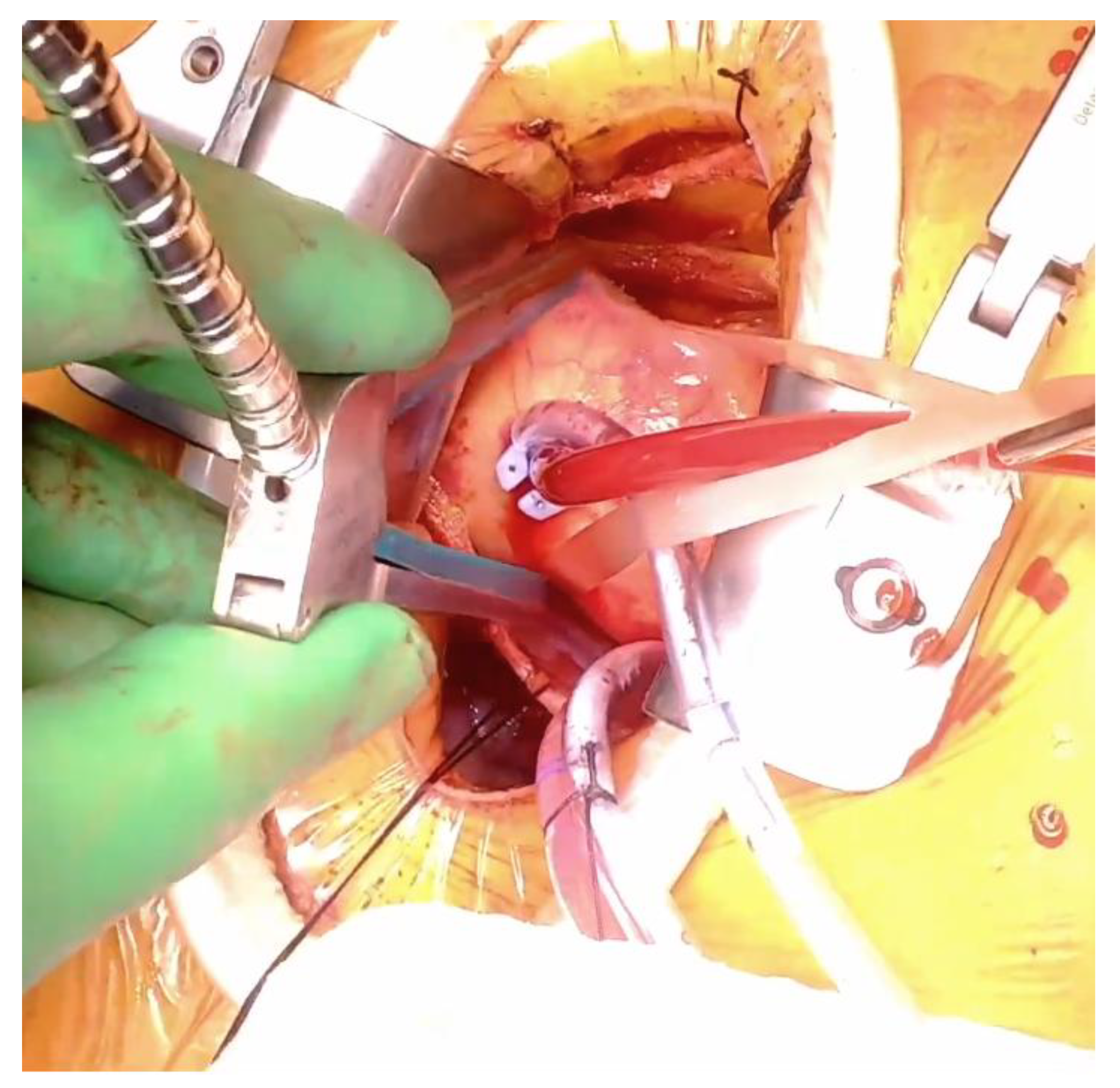 Preprints 200435 g002