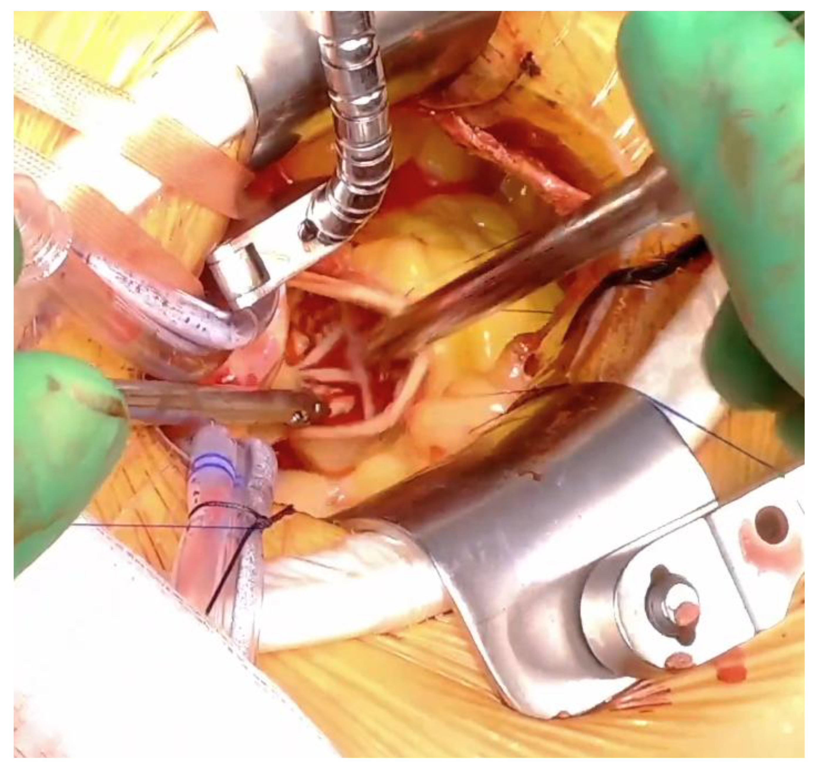 Preprints 200435 g003