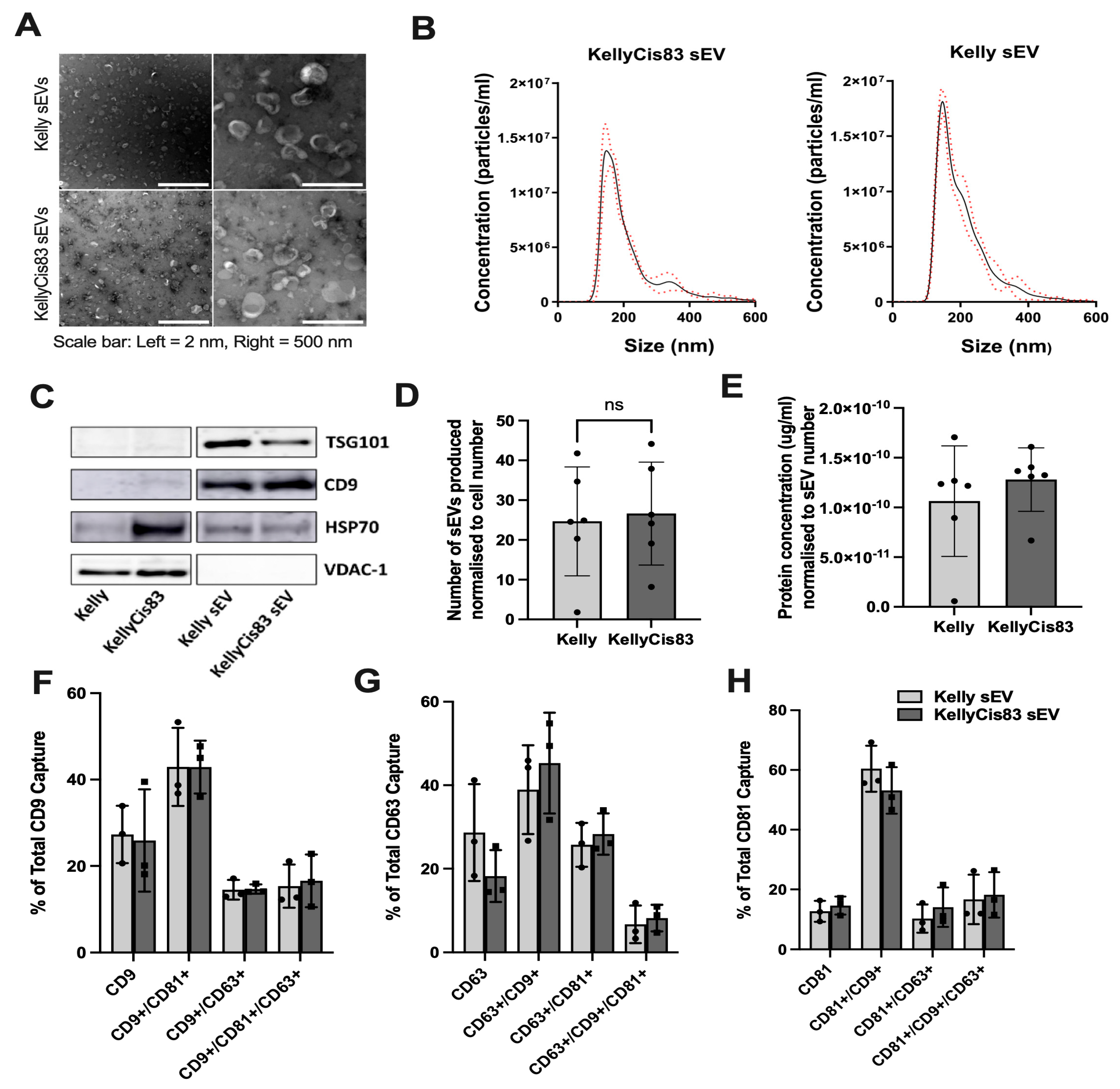 Preprints 173412 g001