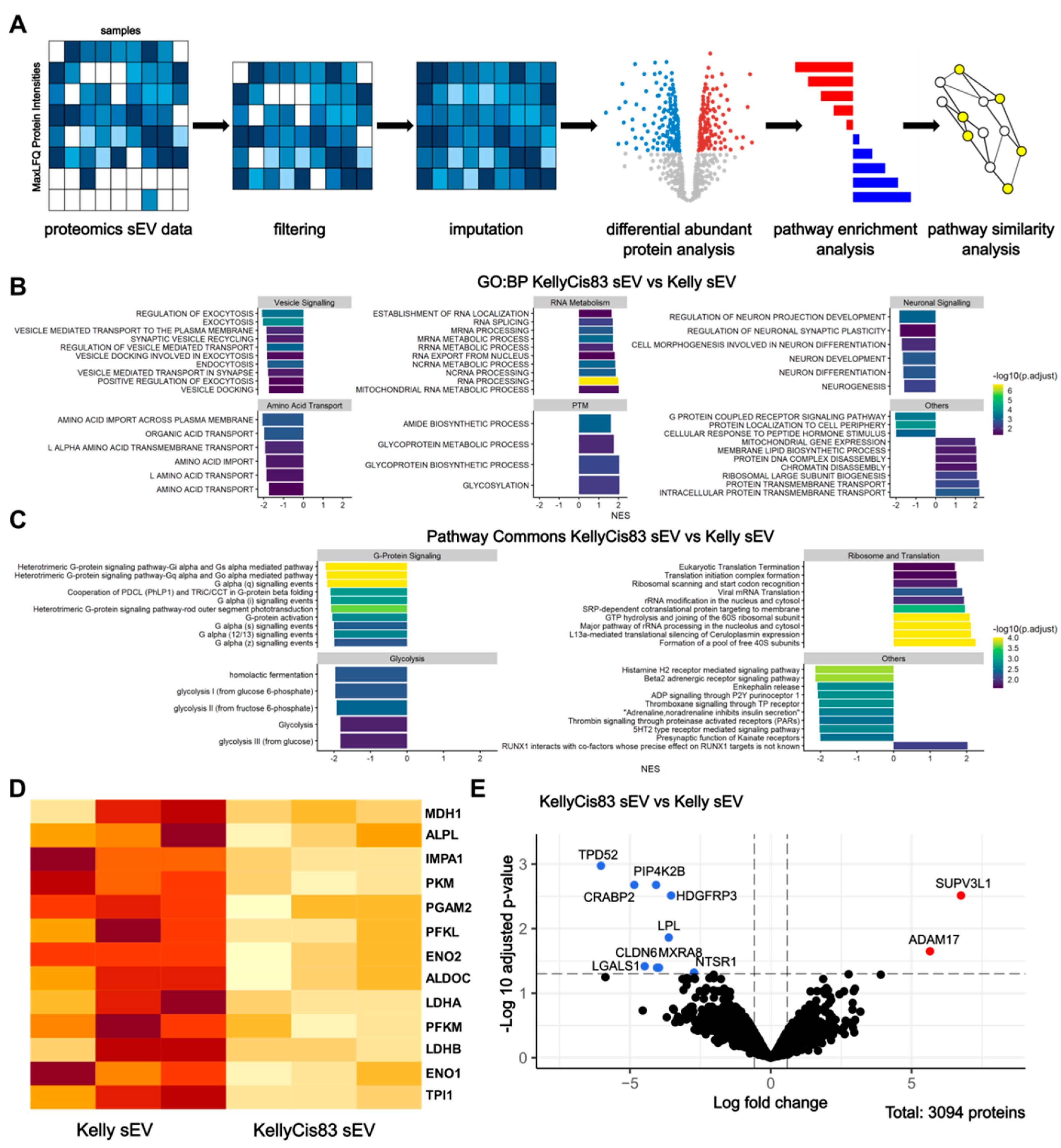 Preprints 173412 g002