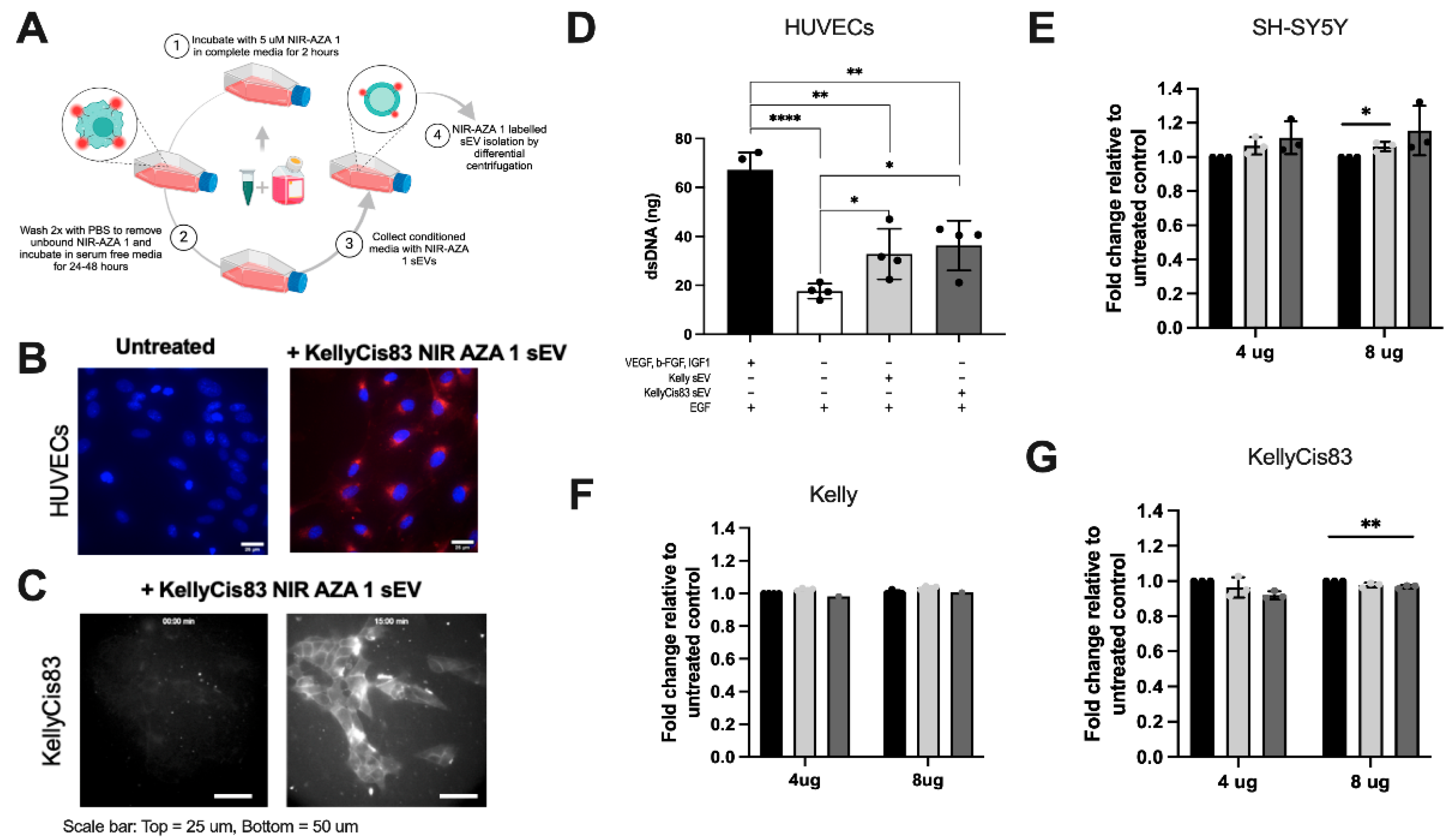 Preprints 173412 g003