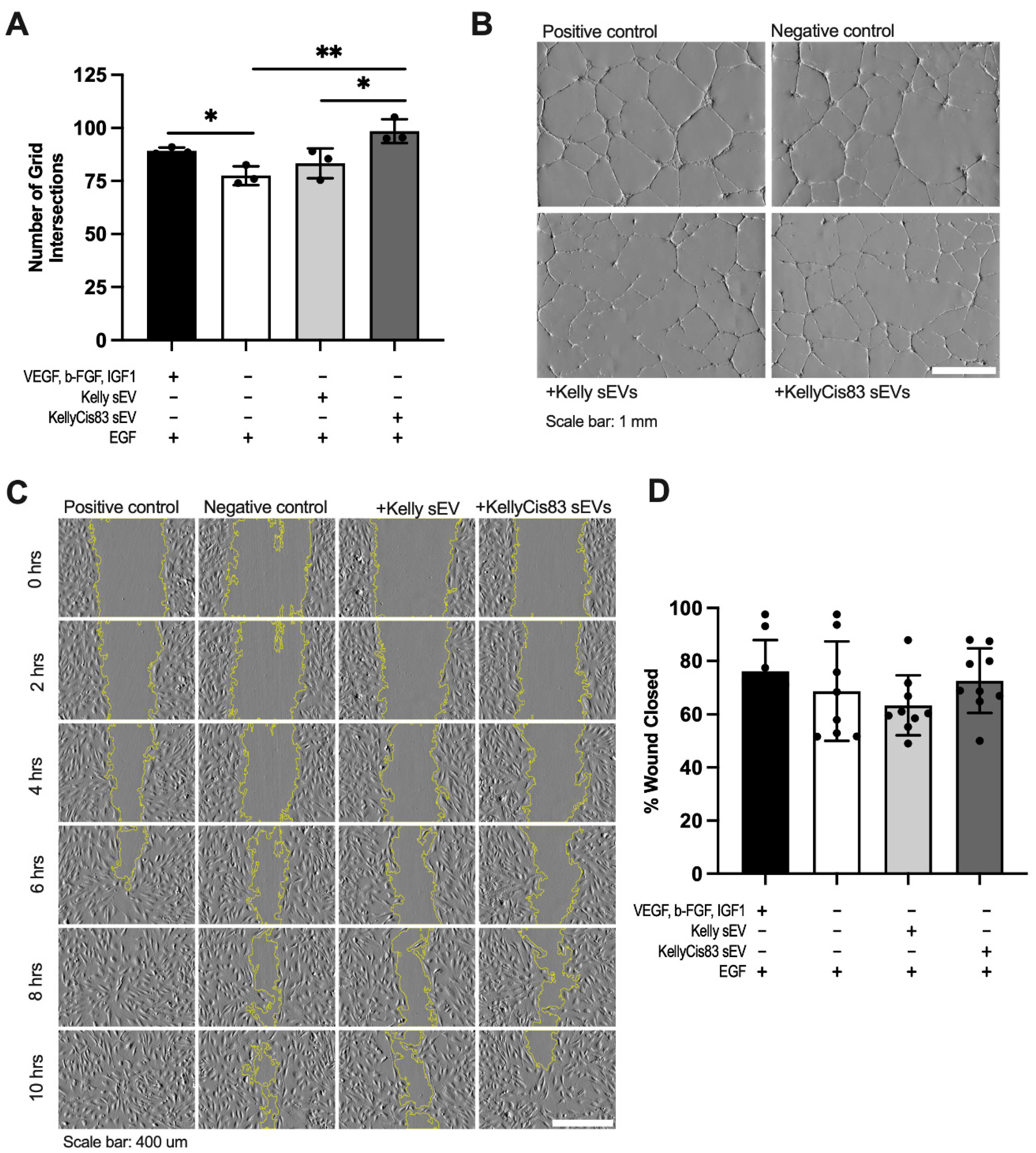 Preprints 173412 g005