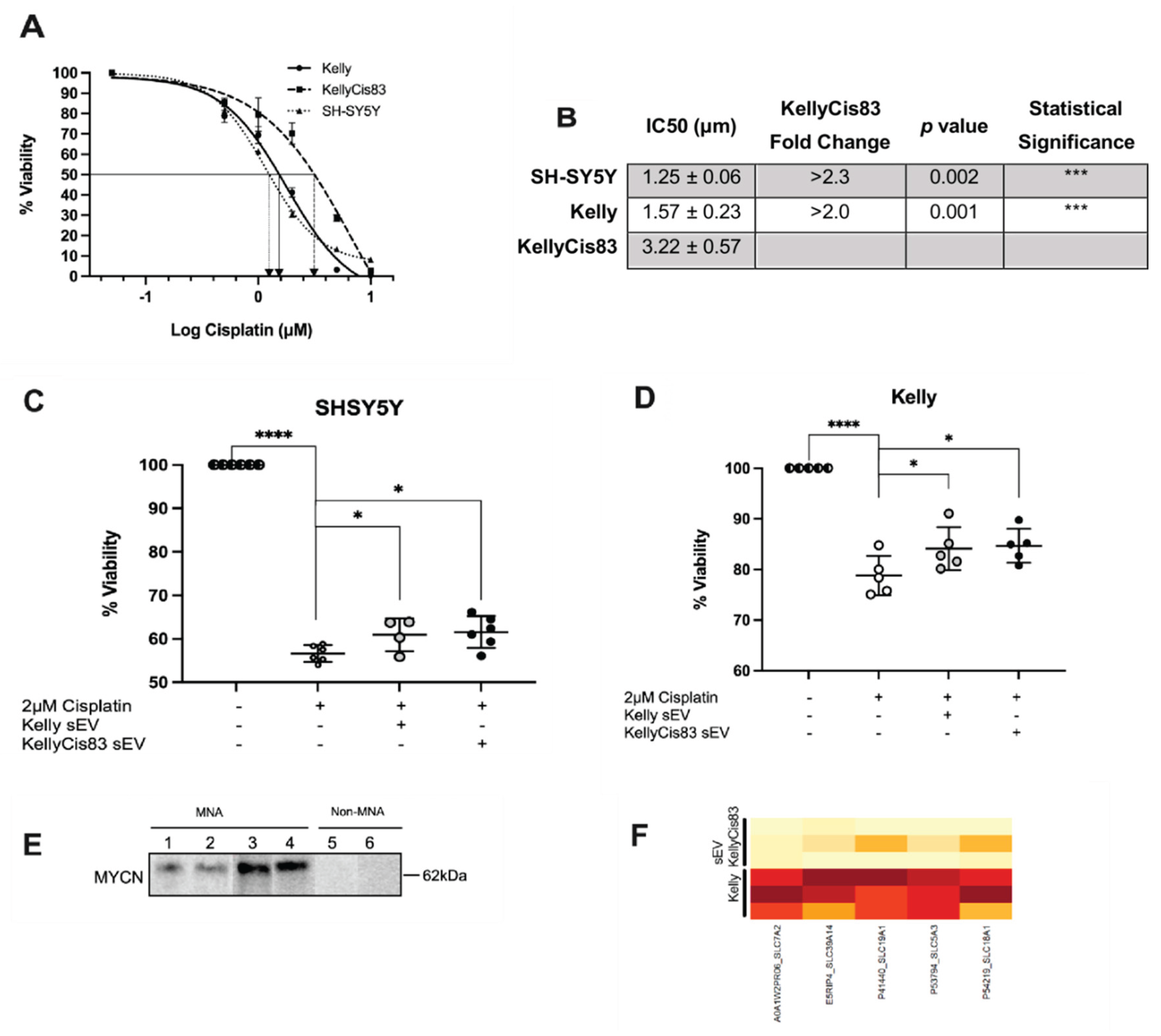 Preprints 173412 g006