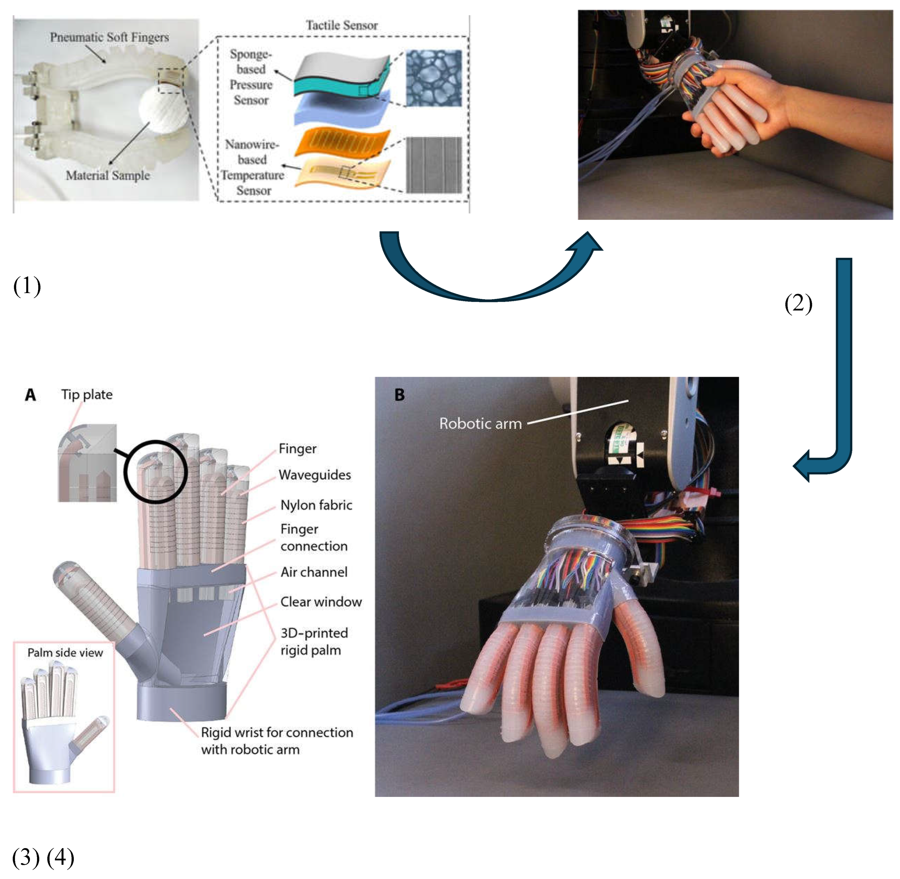 Preprints 115997 g008