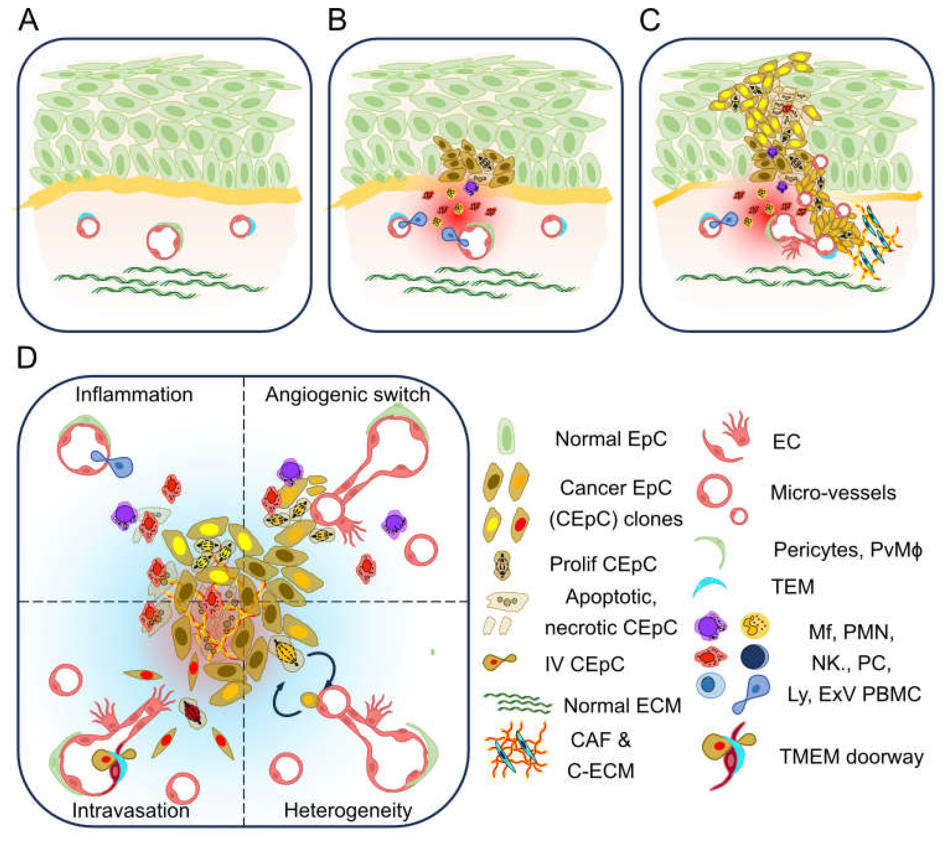 Preprints 155607 g001