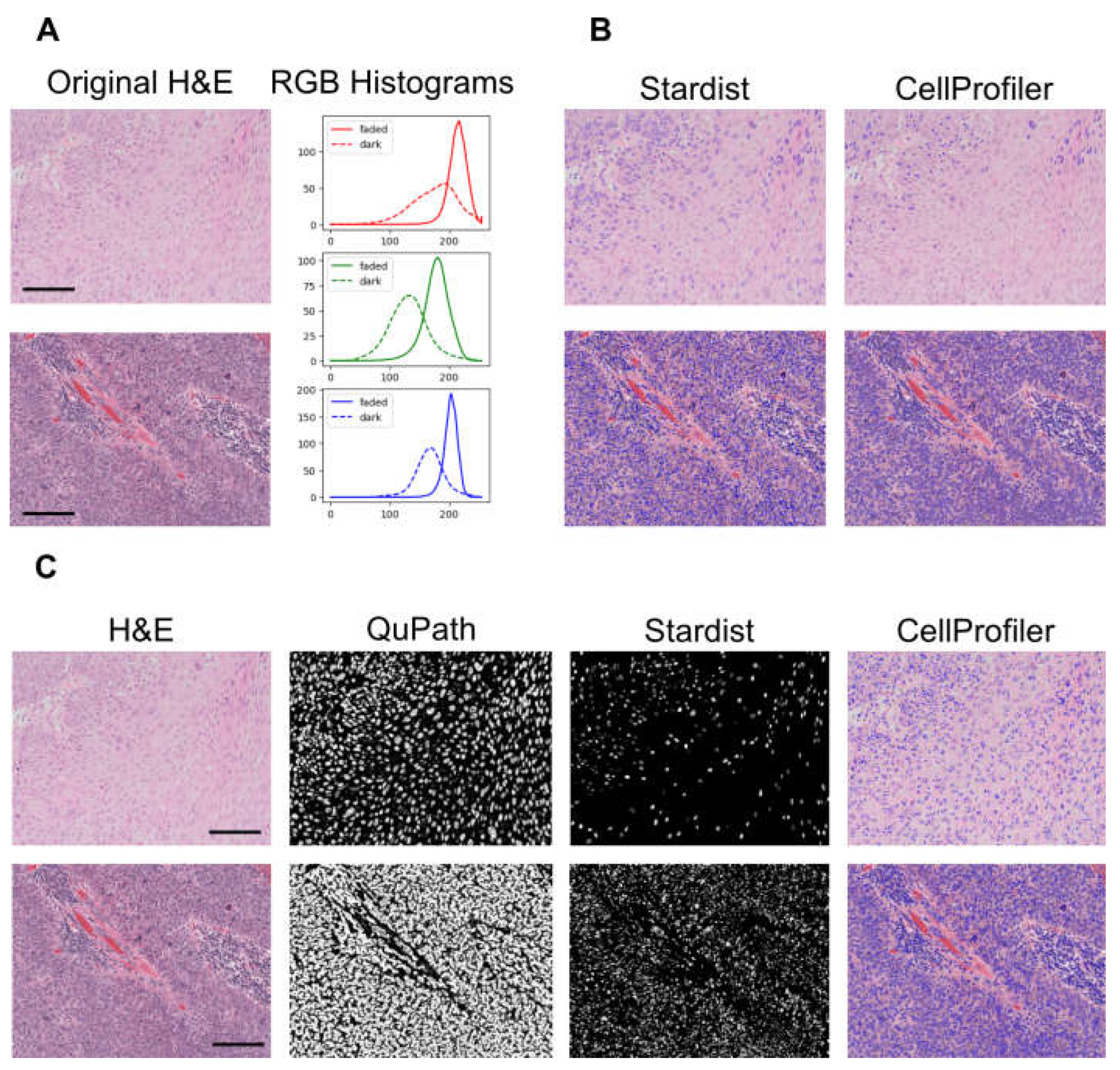 Preprints 155607 g003