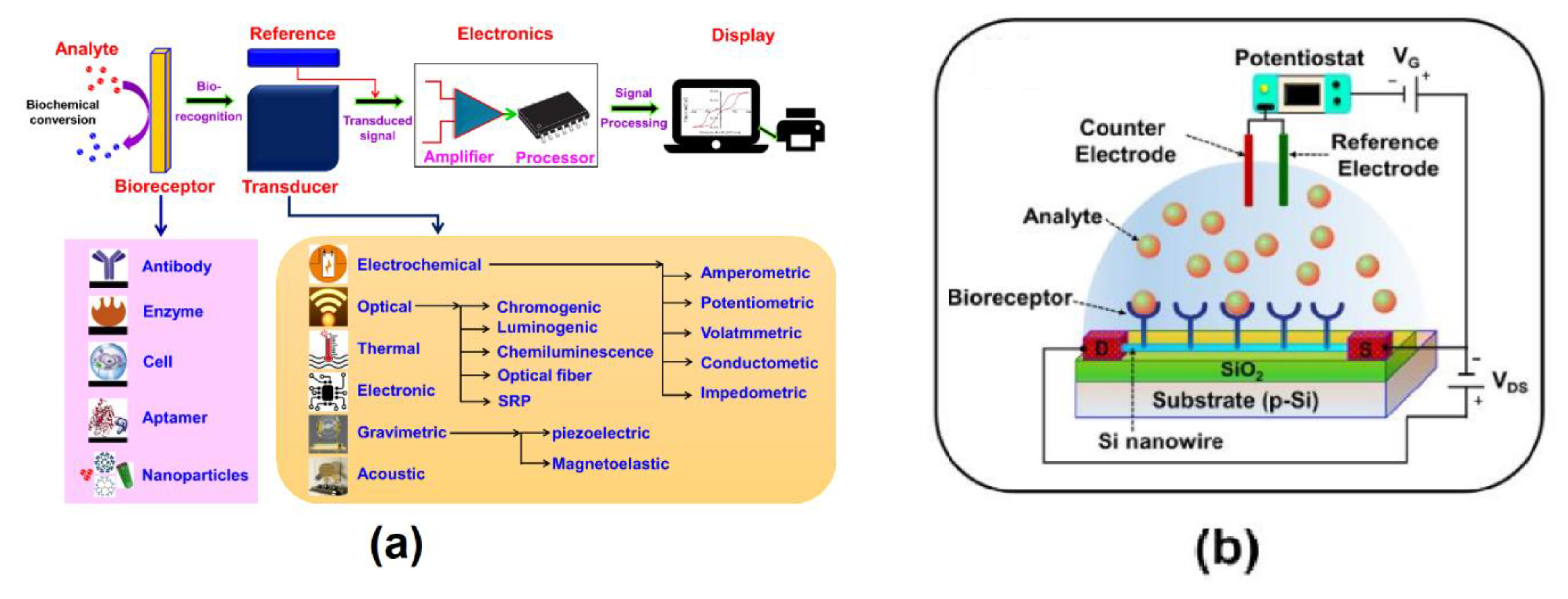 Preprints 162026 g001