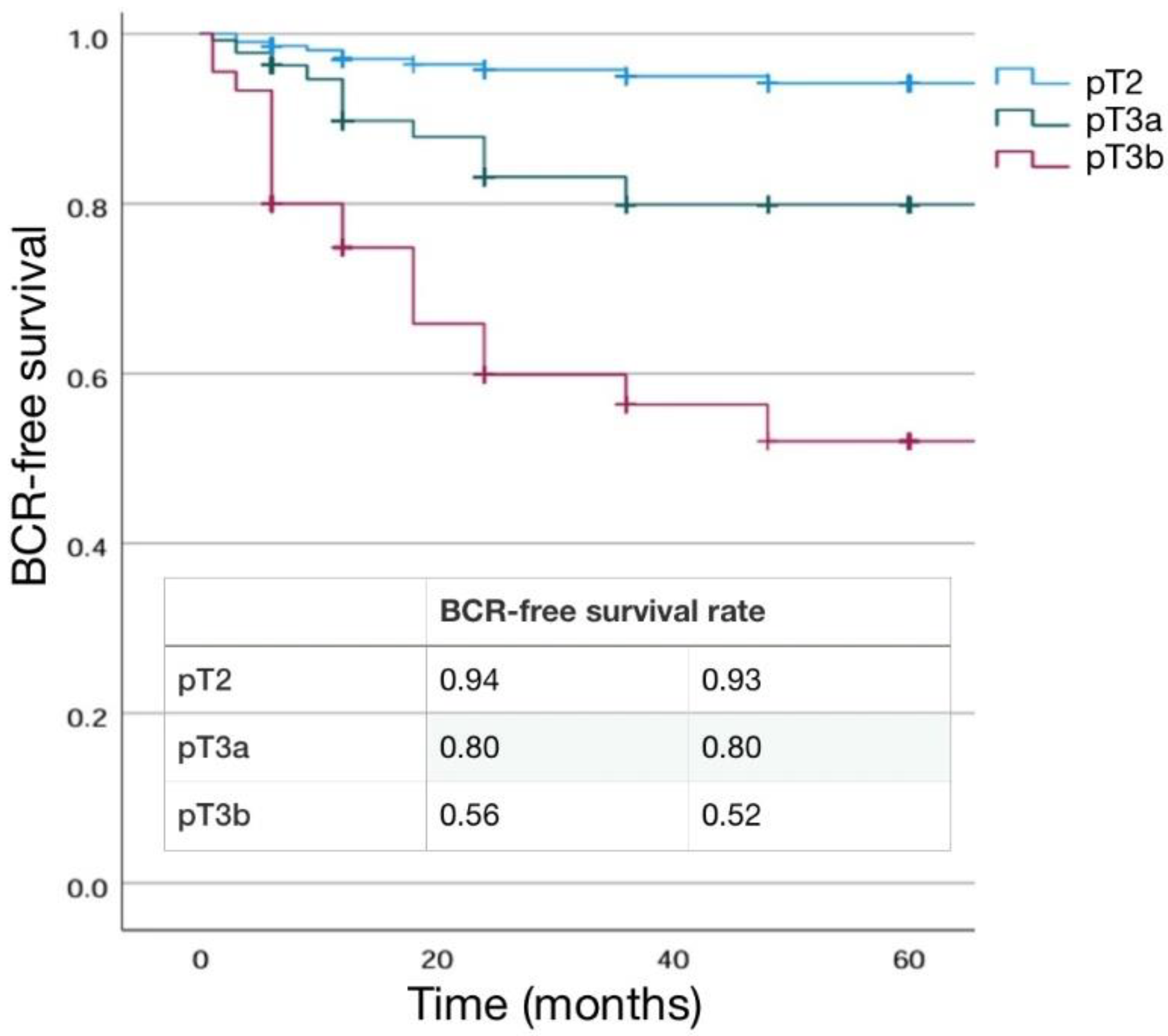 Preprints 117862 g002