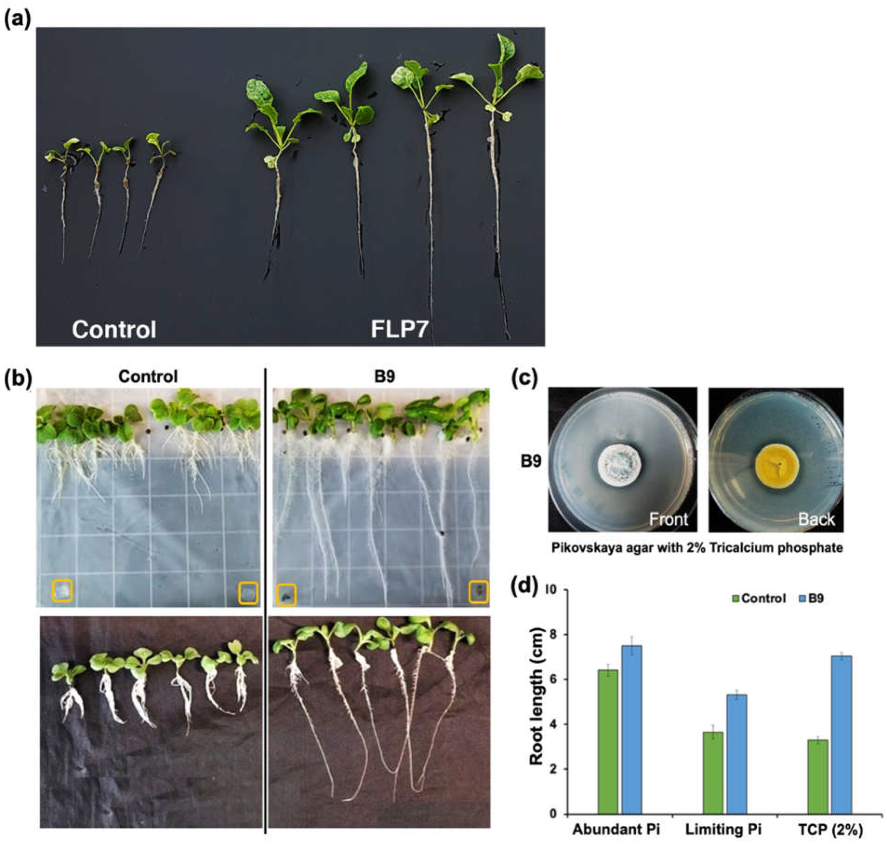 Preprints 69184 g002