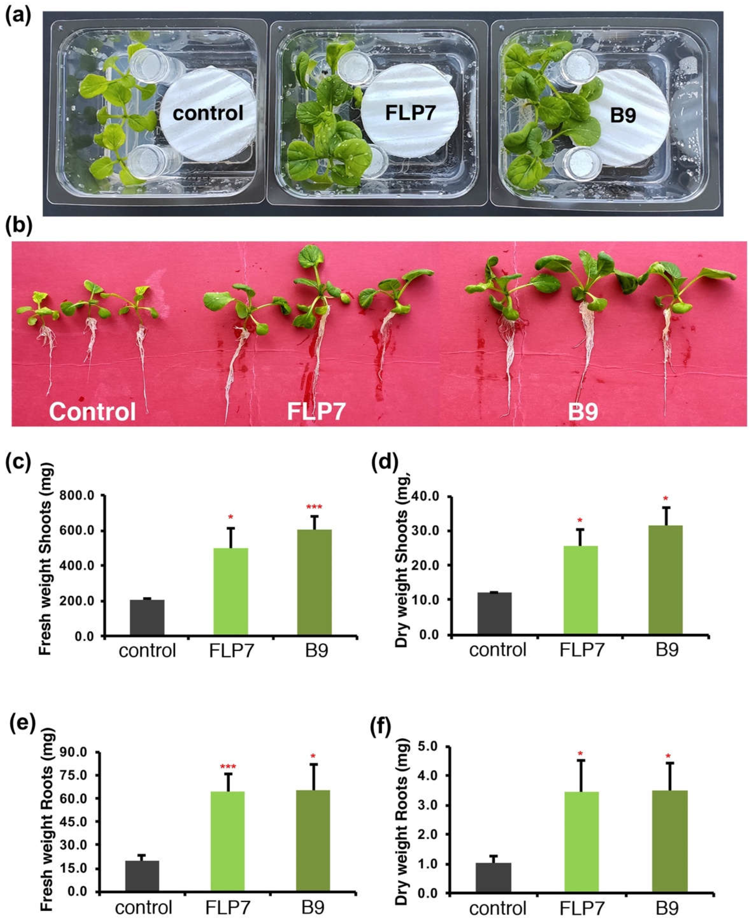 Preprints 69184 g003