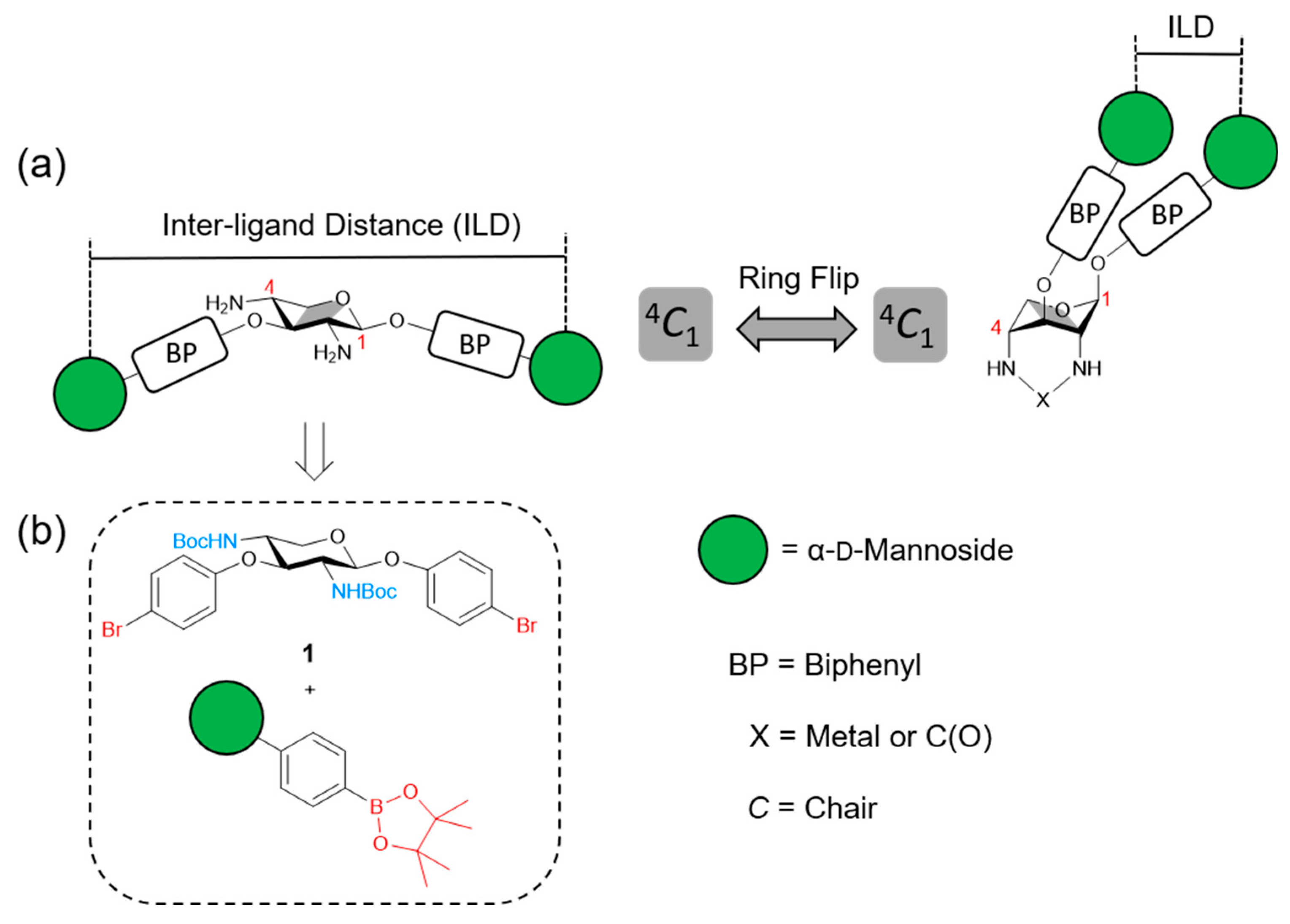 Preprints 165925 g001