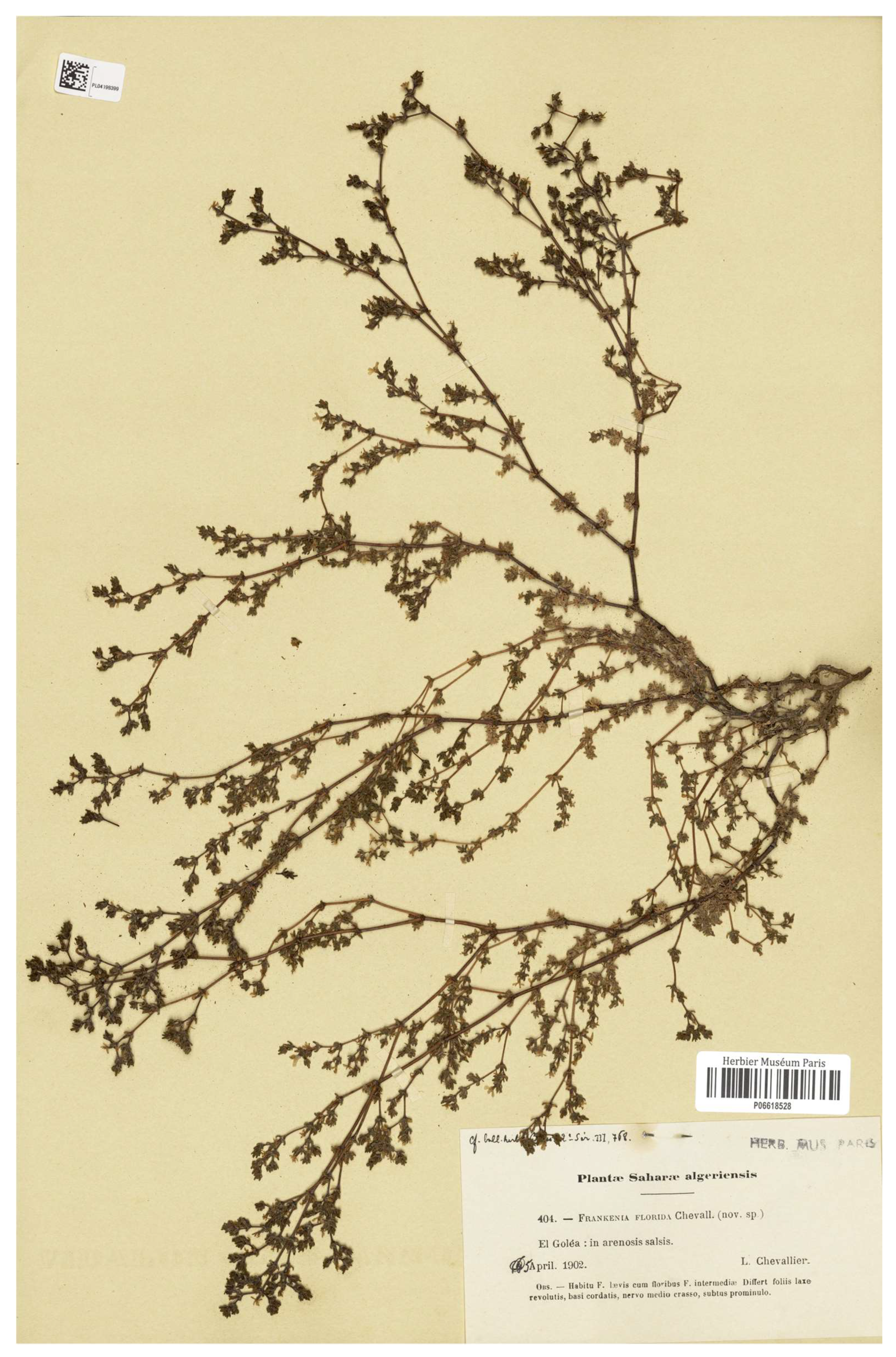 Preprints 152405 g001