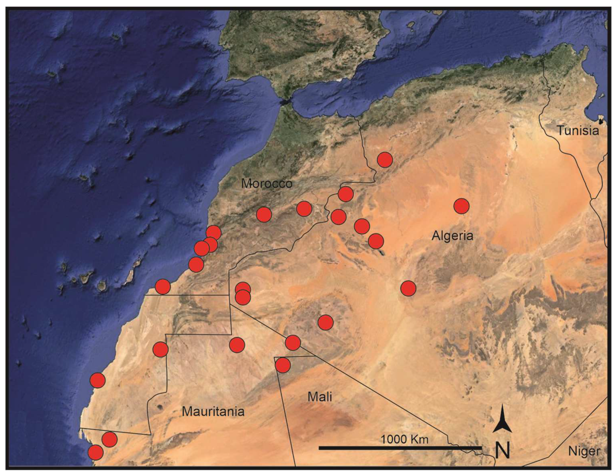 Preprints 152405 g002