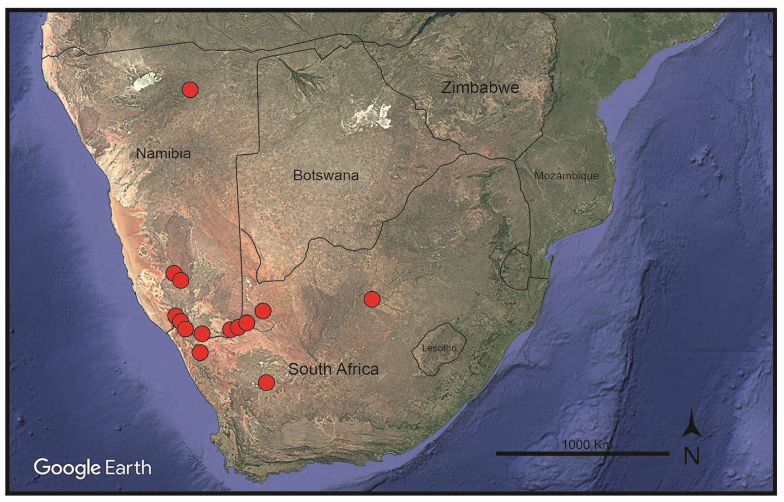 Preprints 152405 g004