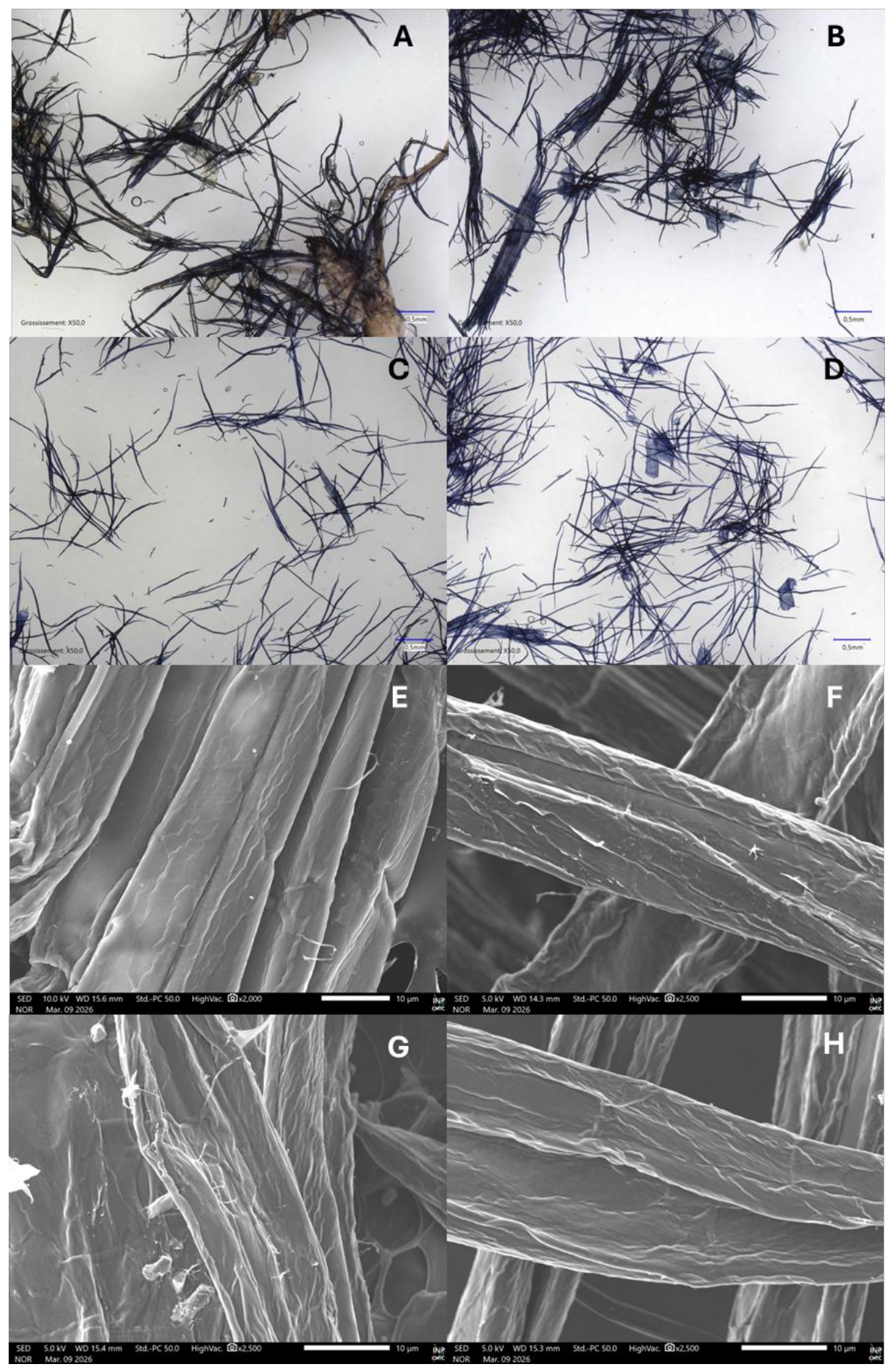 Preprints 222199 g005