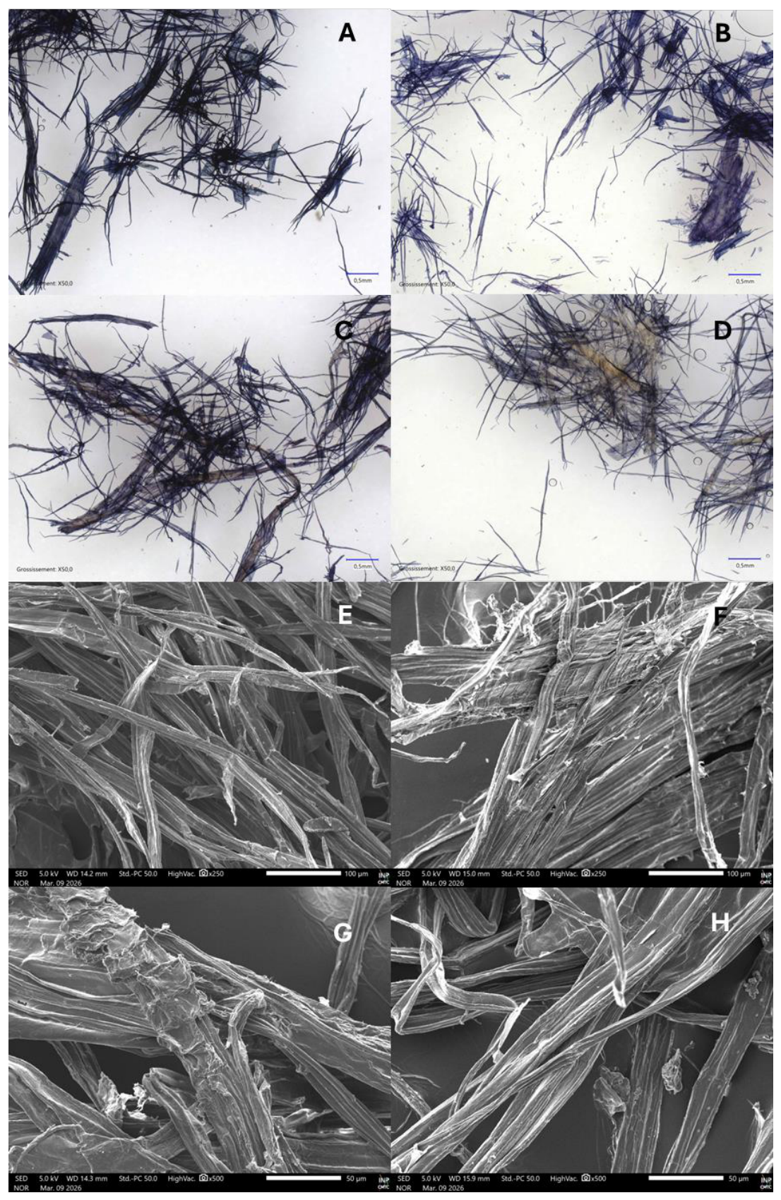 Preprints 222199 g009