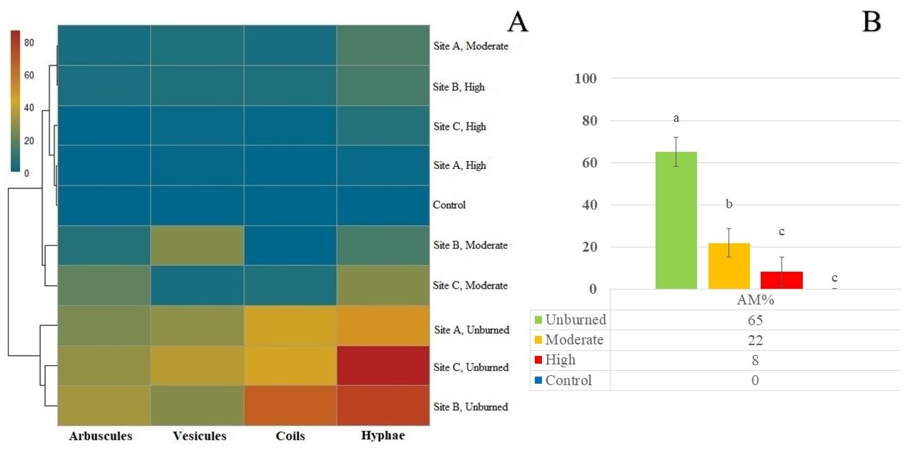 Preprints 168783 g003