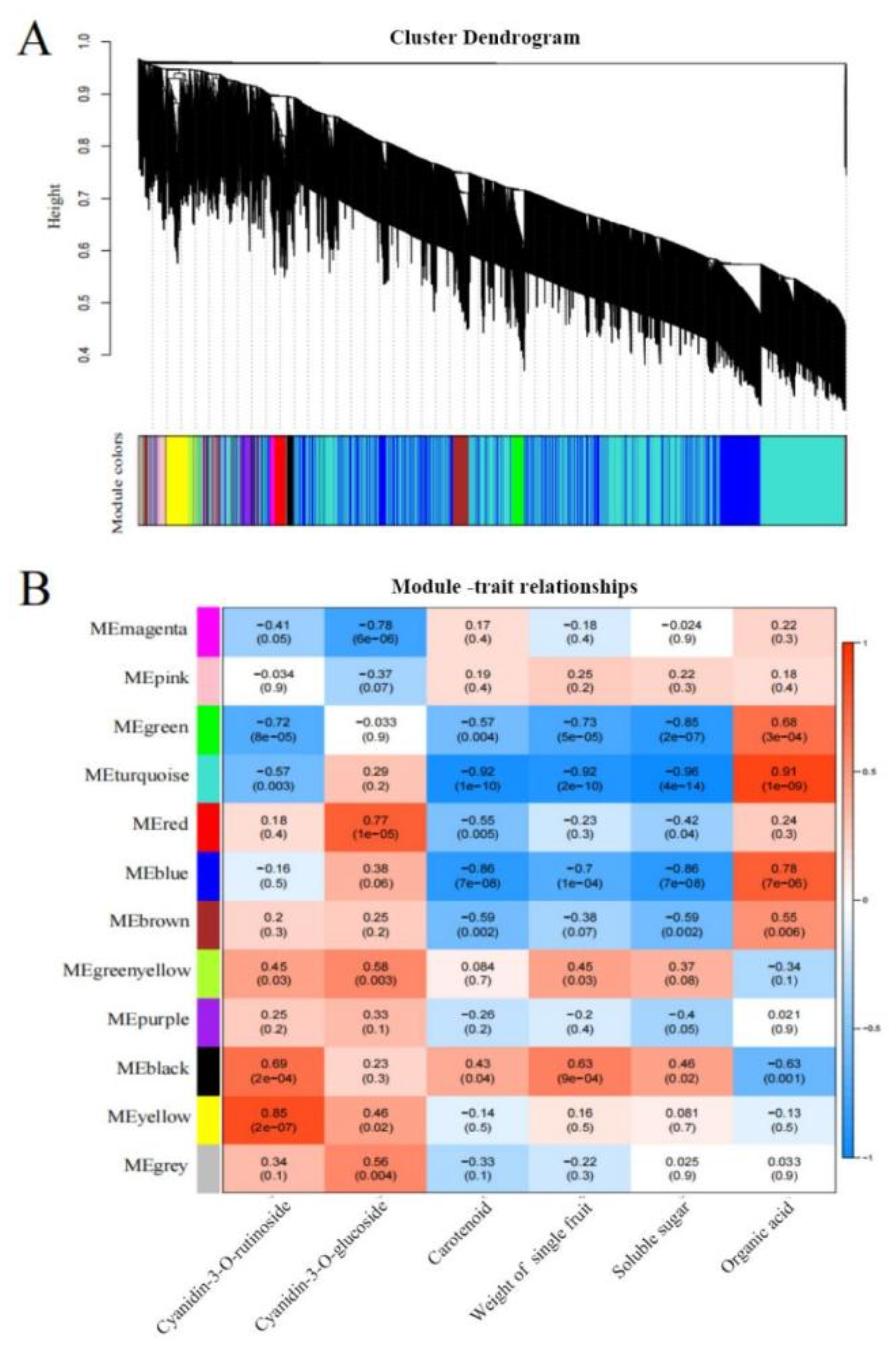 Preprints 145064 g005