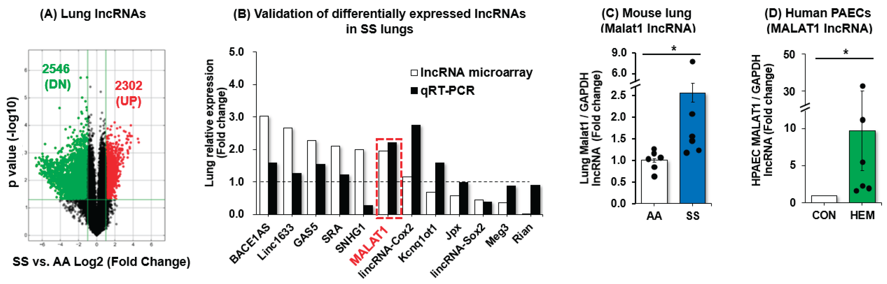 Preprints 179735 g001