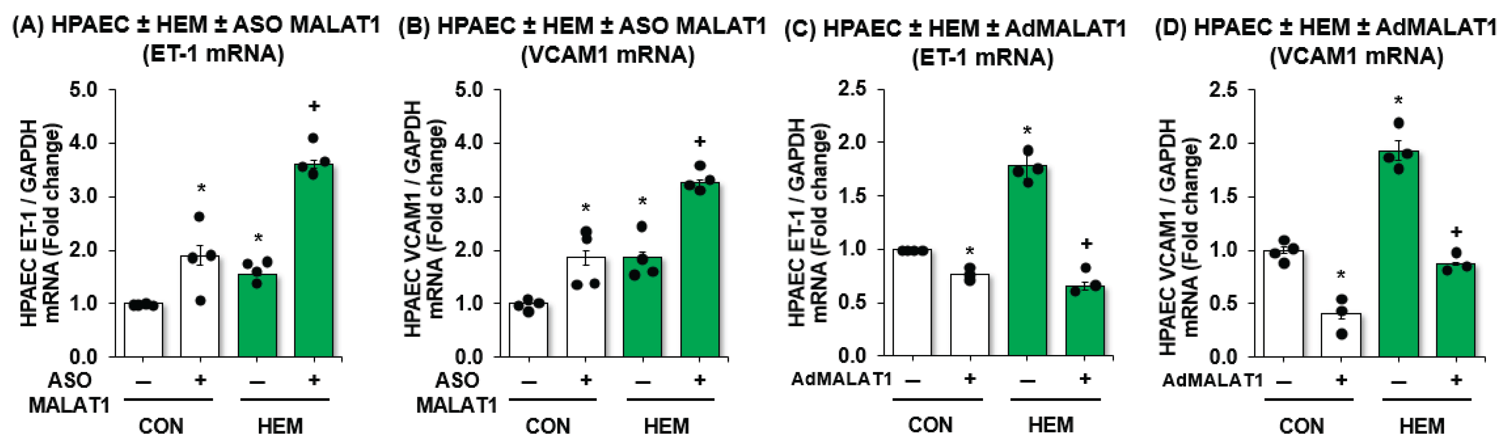 Preprints 179735 g002