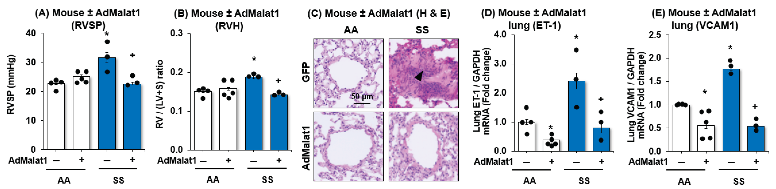 Preprints 179735 g003